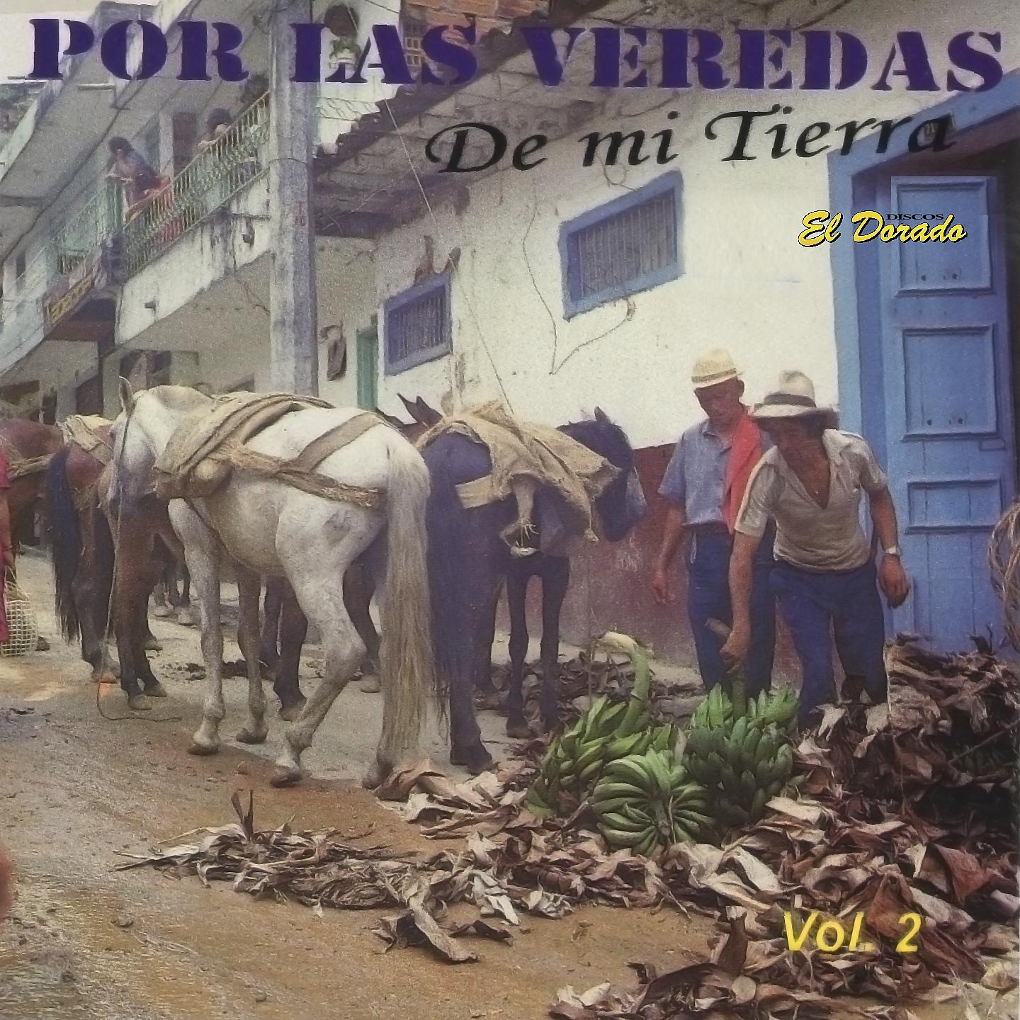 Постер альбома Por las Veredas de Mi Tierra, Vol. 2