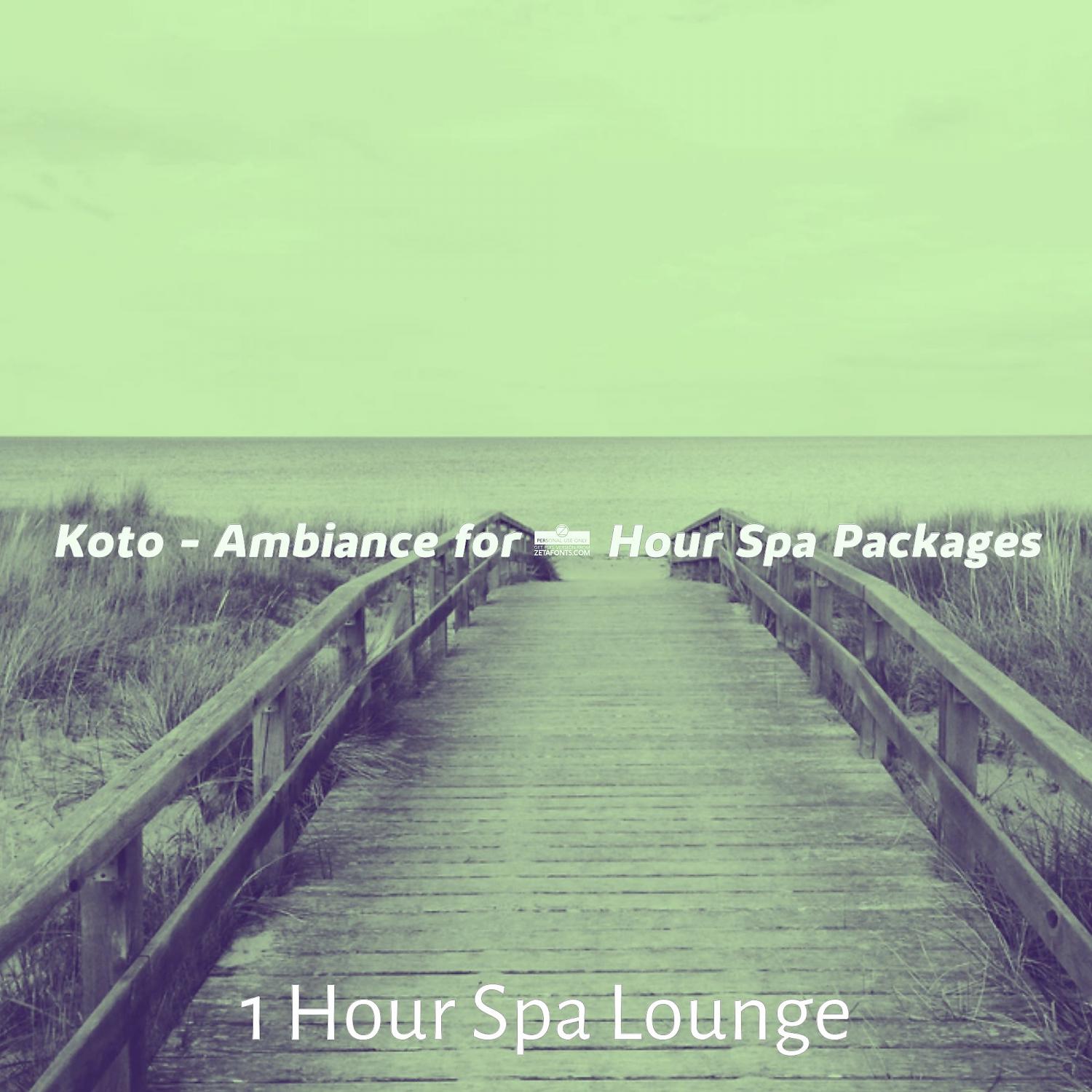 Постер альбома Koto - Ambiance for 1 Hour Spa Packages