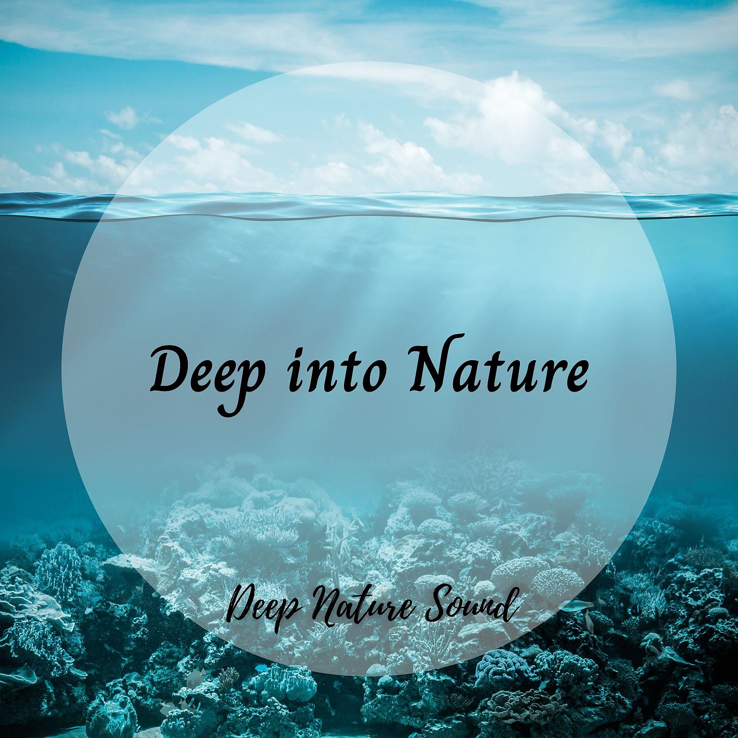 Постер альбома Deep Nature Sound: Deep into Nature