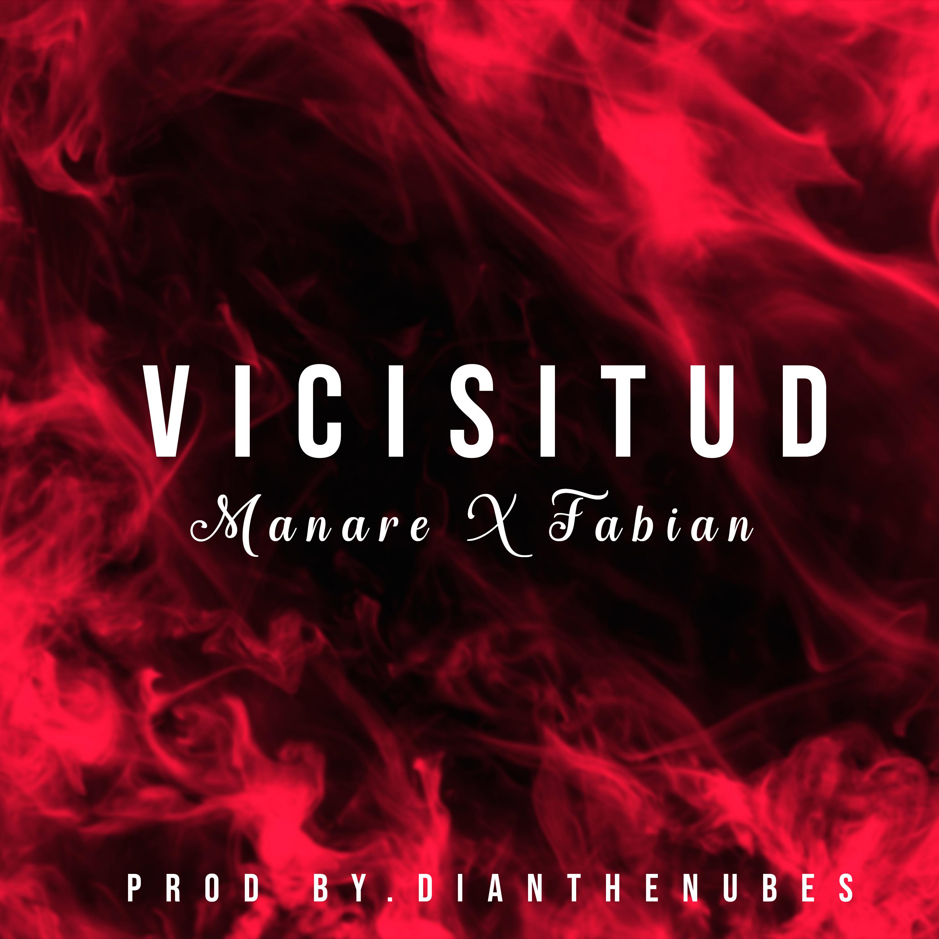 Постер альбома Vicisitud