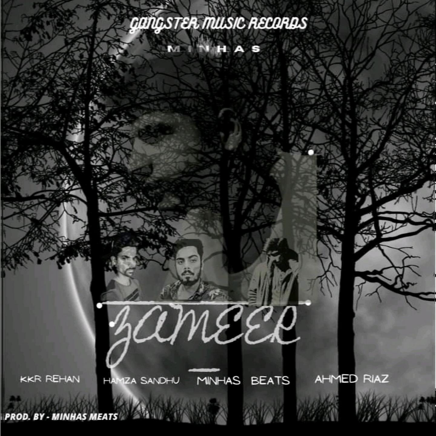 Постер альбома Zameer
