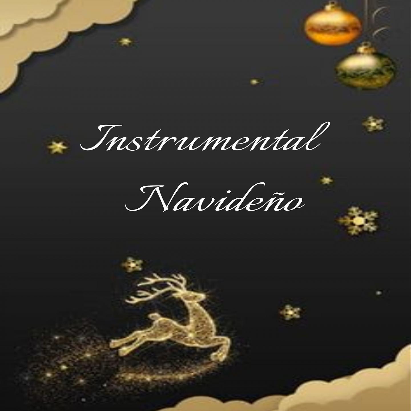 Постер альбома Instrumental Navideño