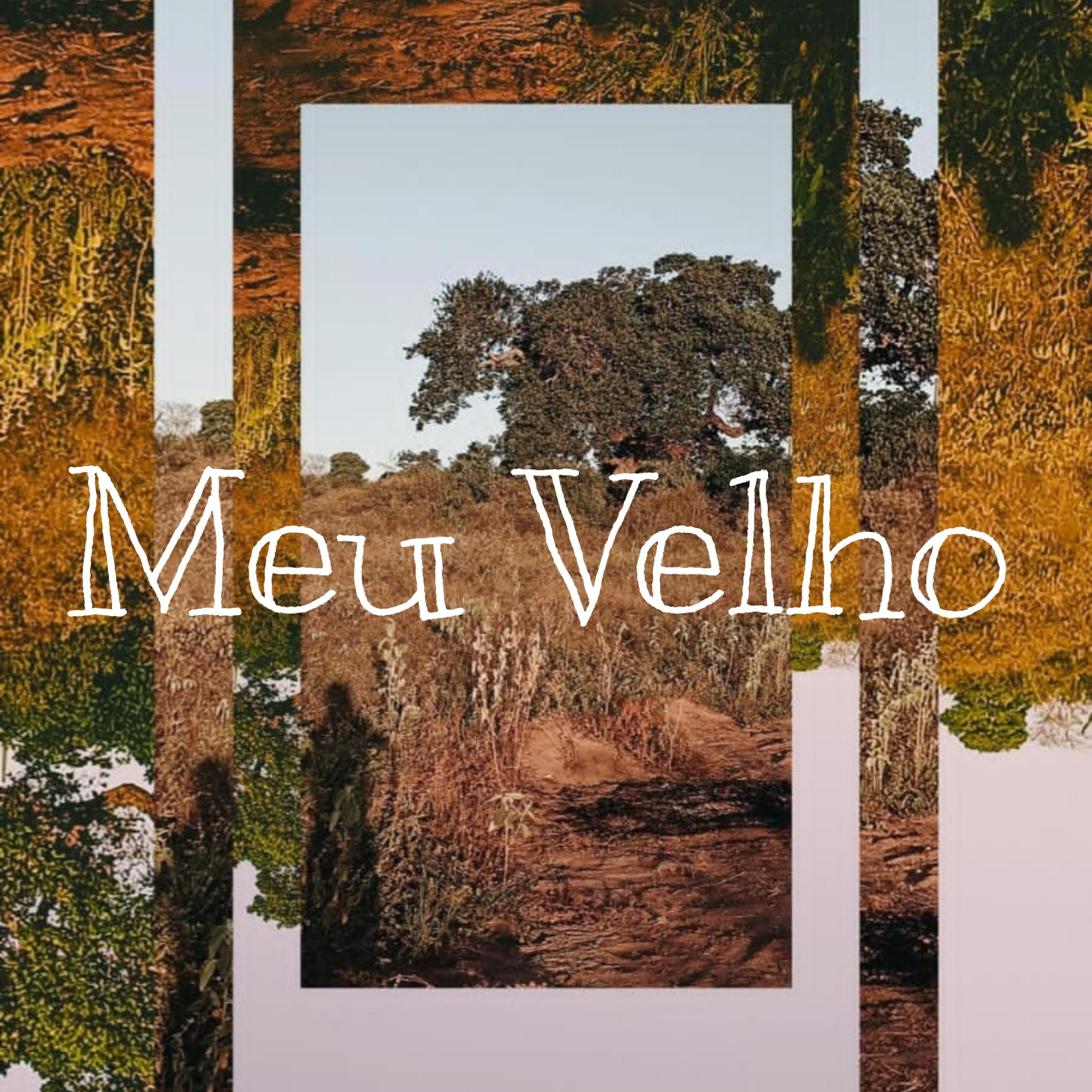 Постер альбома Meu Velho