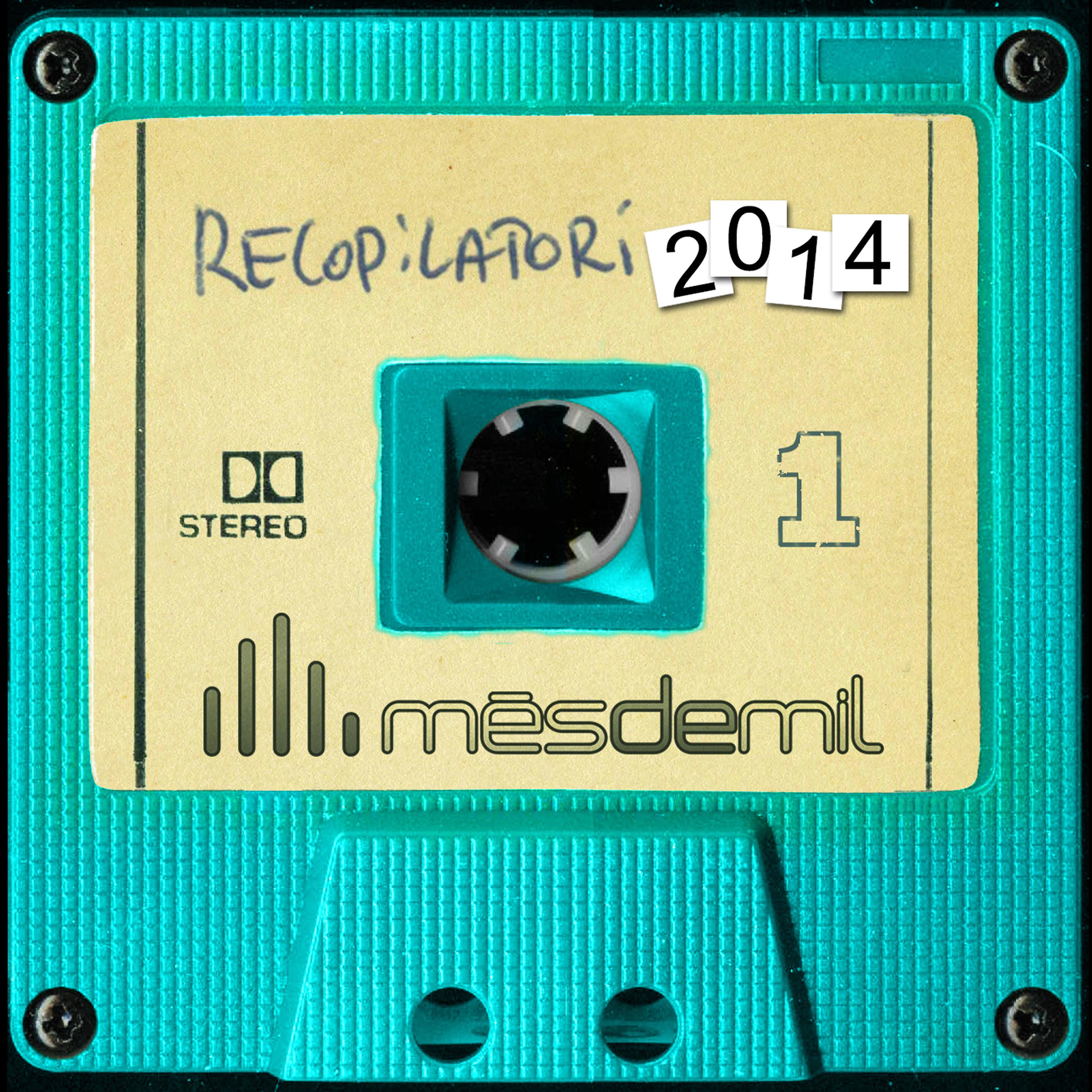 Постер альбома Mésdemil 2014