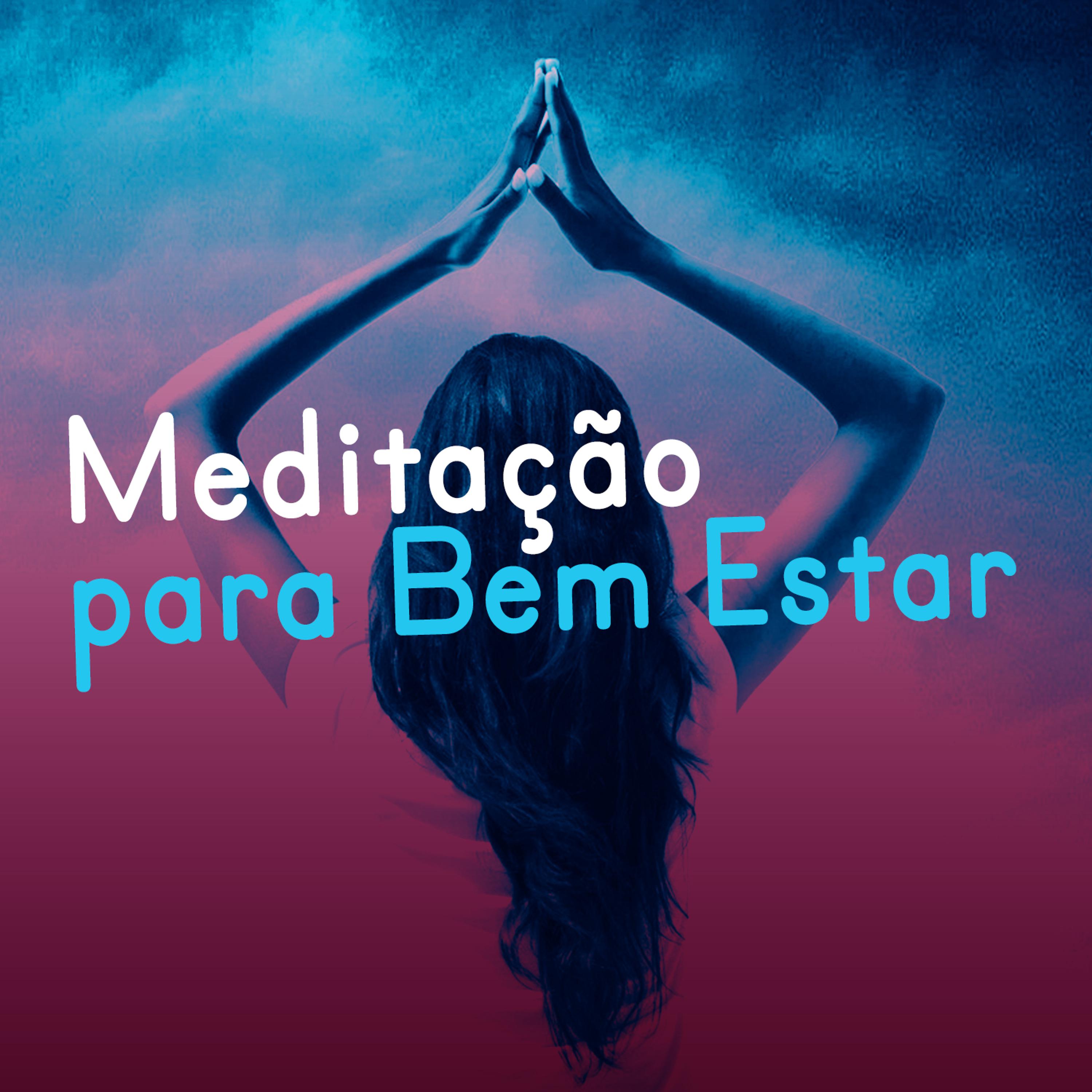Постер альбома Meditação para Bem Estar