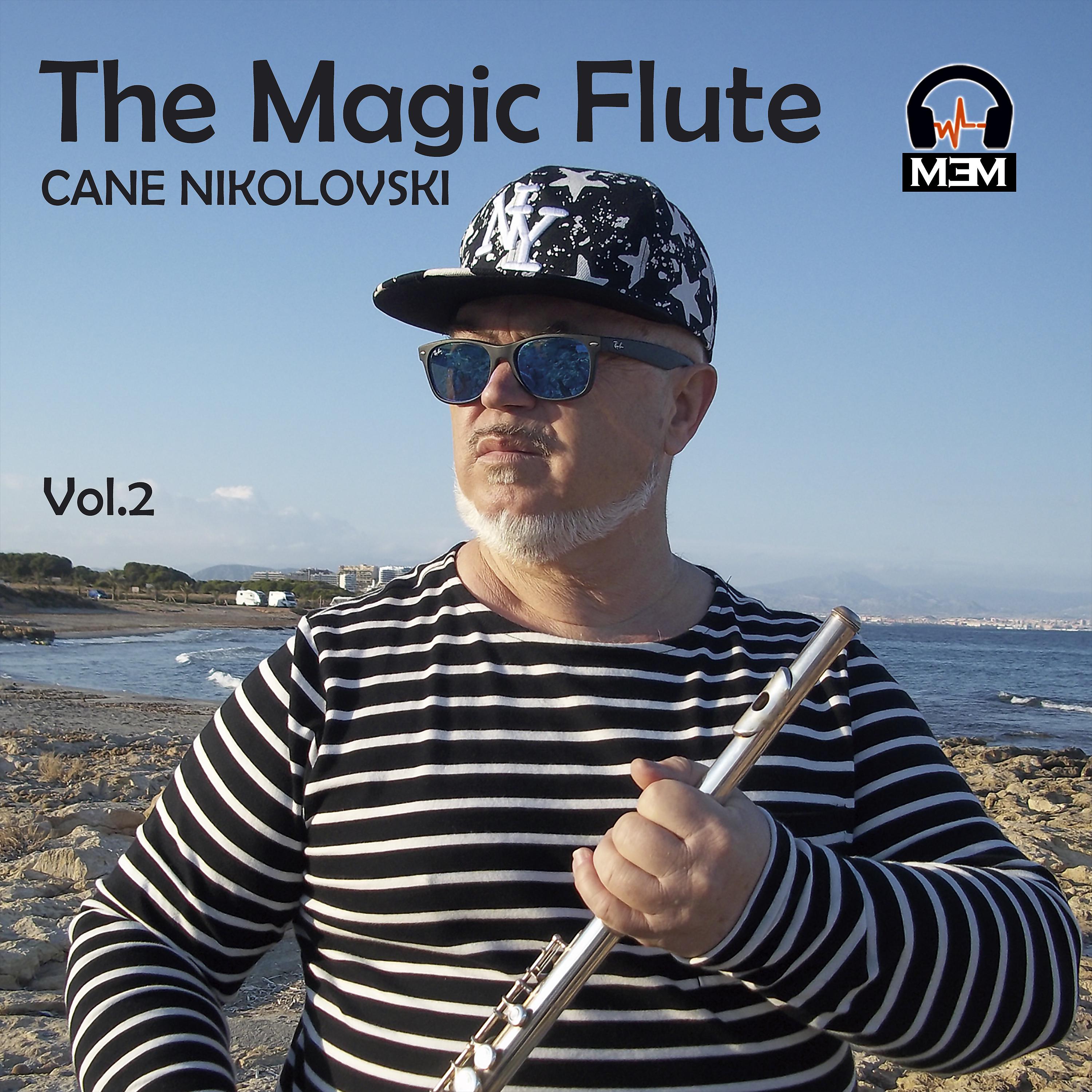 Постер альбома The Magic Flute, Vol. 2
