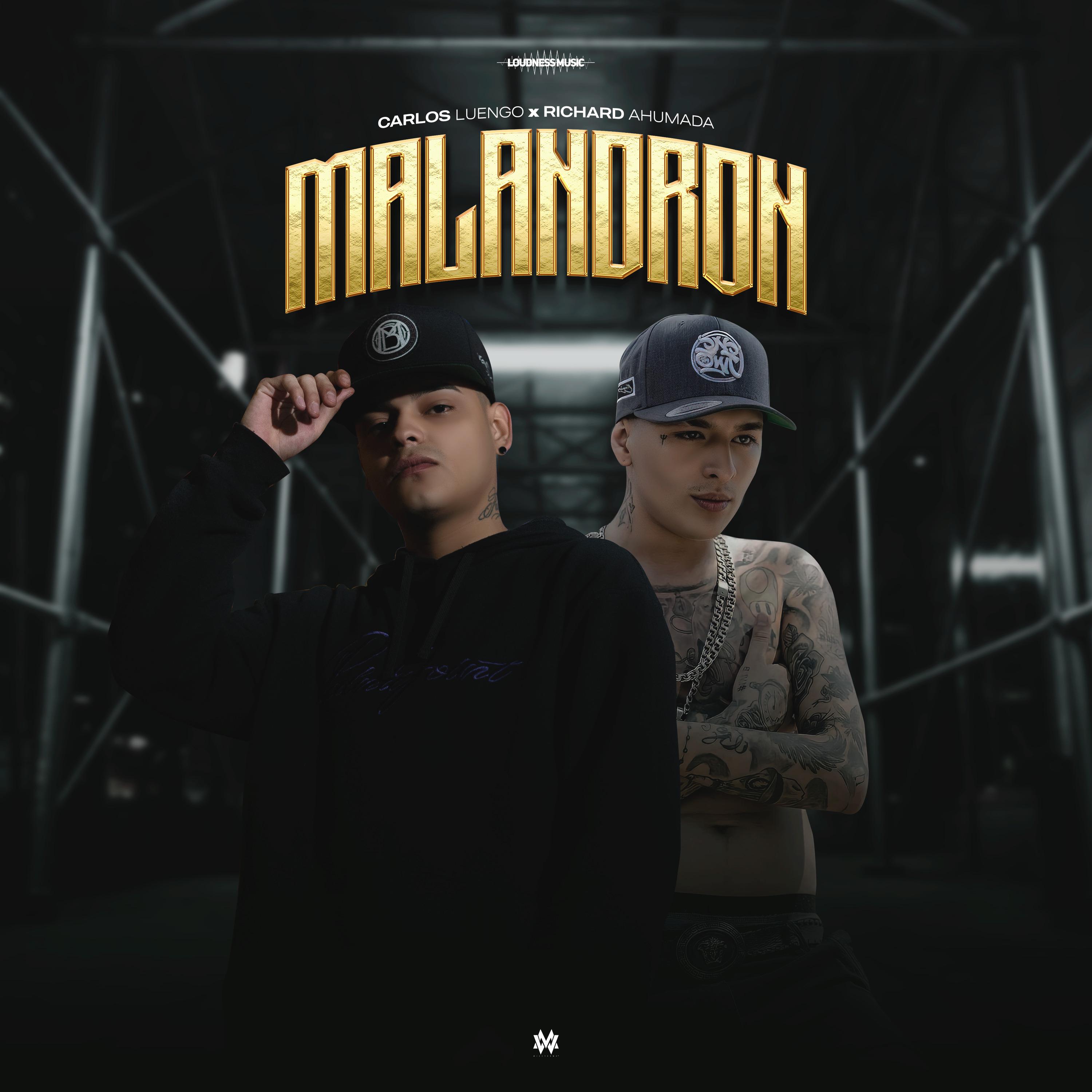 Постер альбома Malandron