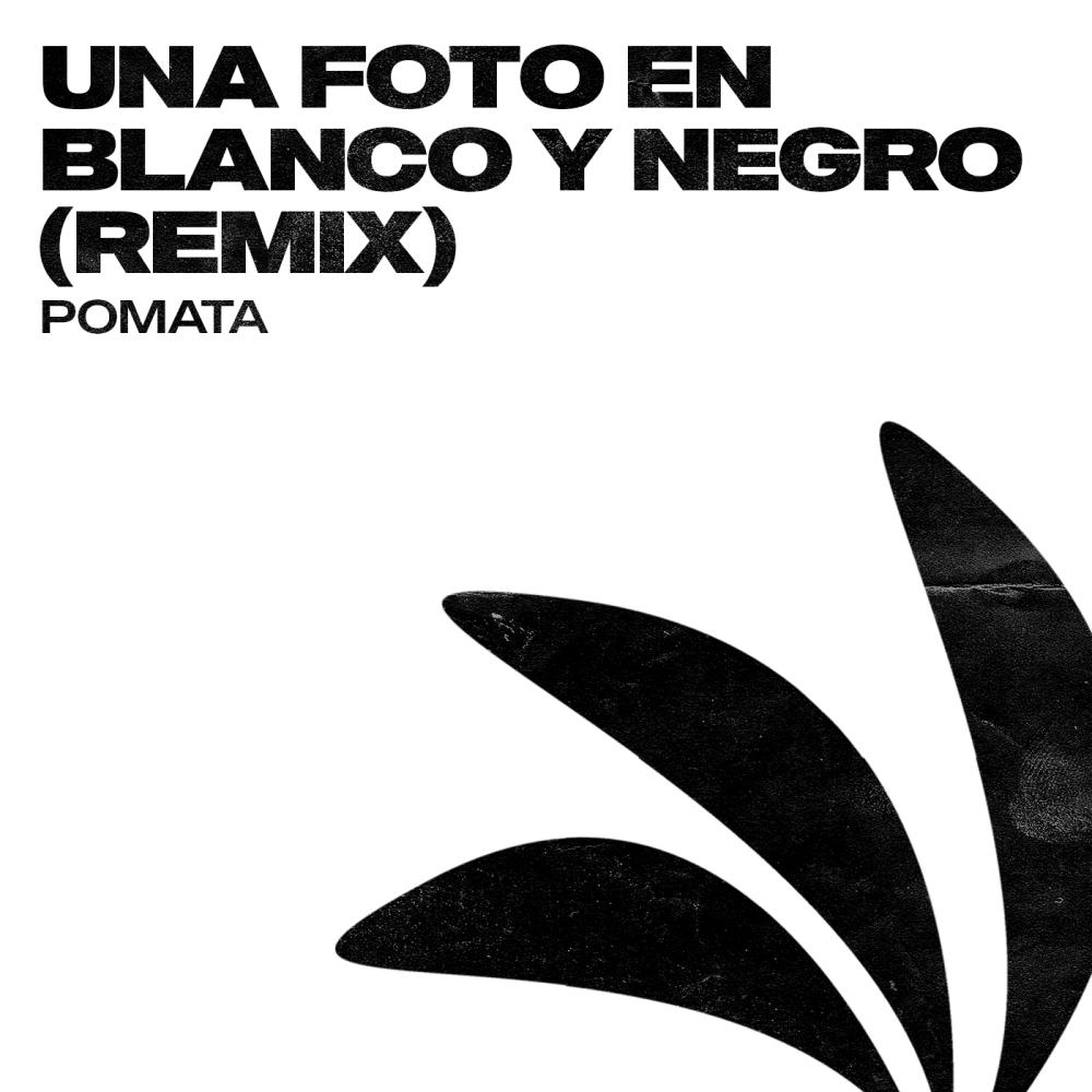 Постер альбома Una Foto En Blanco Y Negro (Remix)
