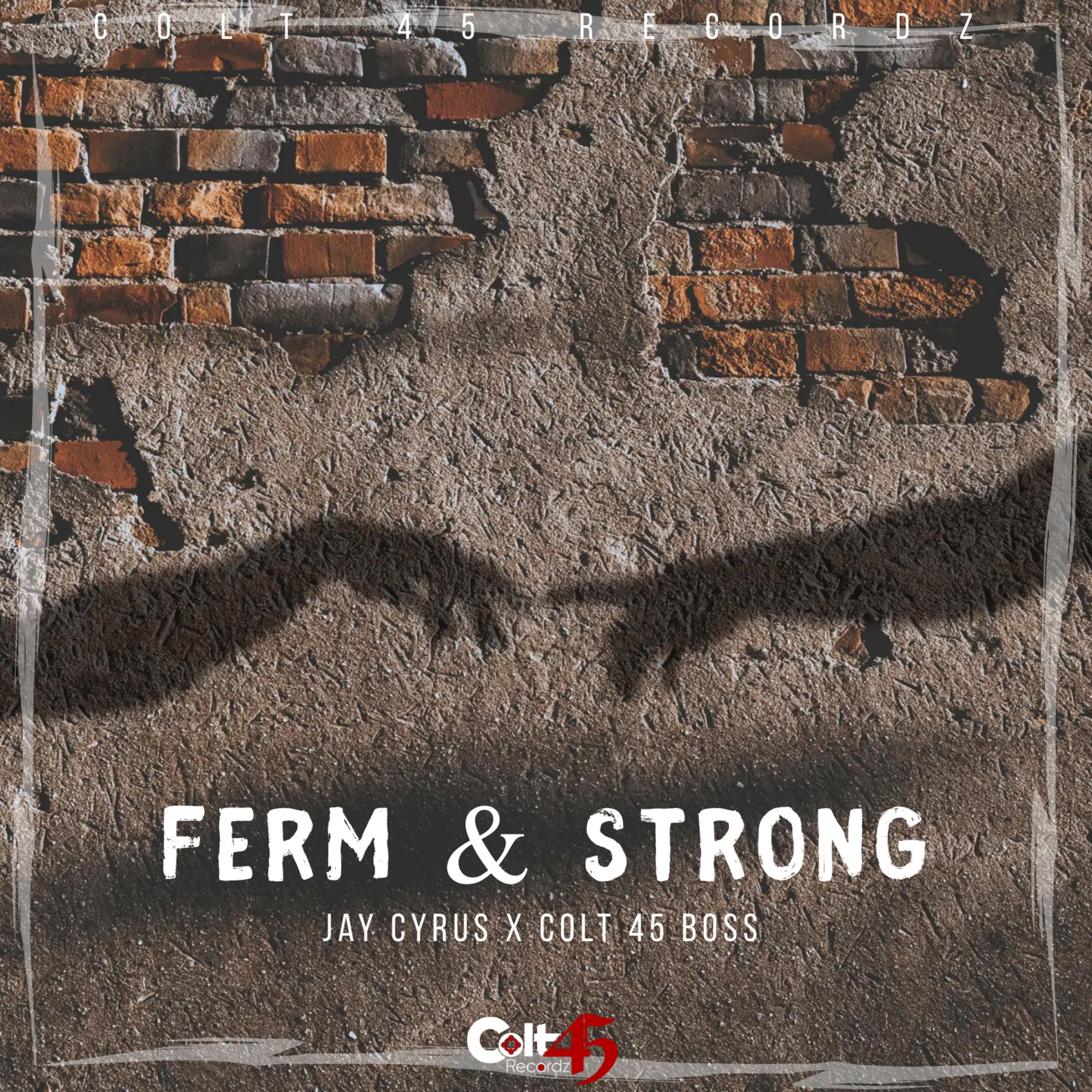 Постер альбома Ferm & Strong