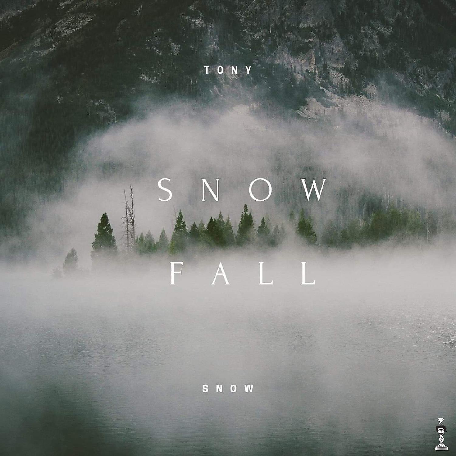 Постер альбома Snow Fall