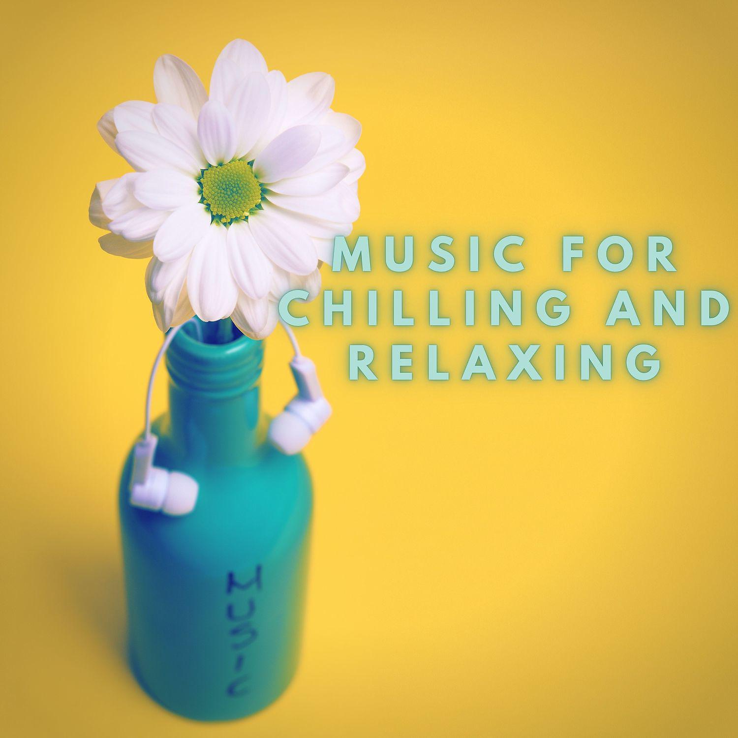Постер альбома Music for Chilling and Relaxing