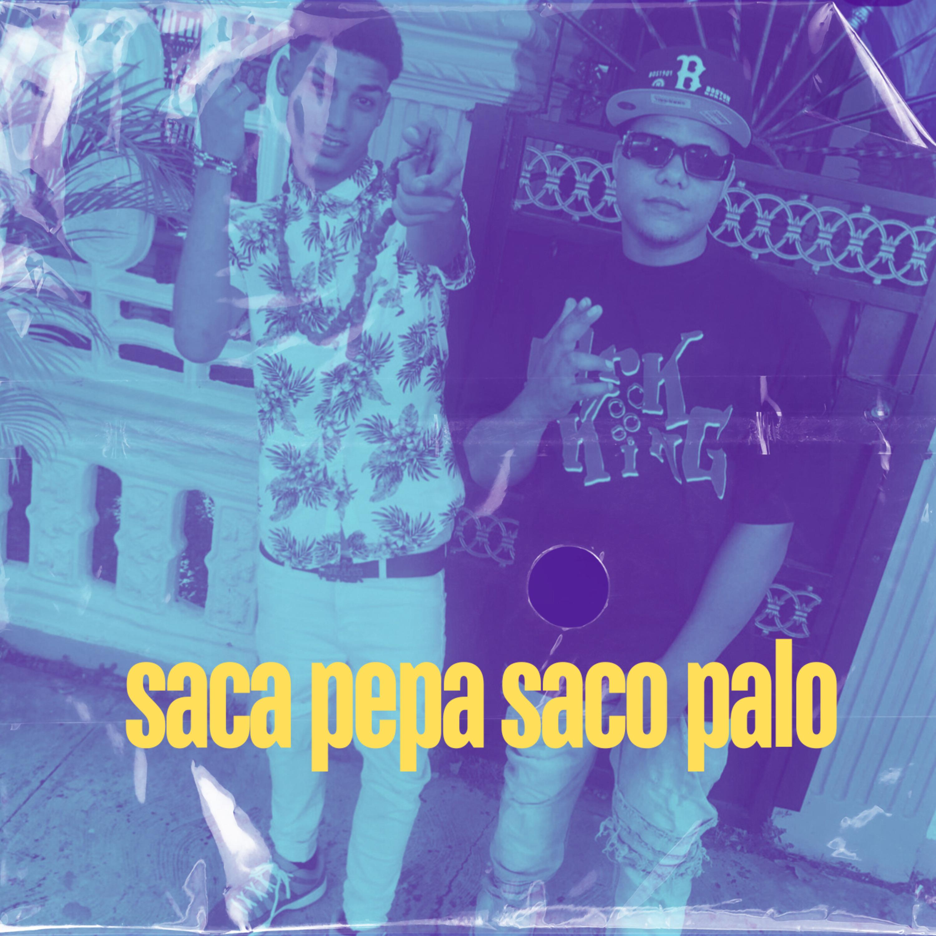 Постер альбома Saca Pepa Saca Palo