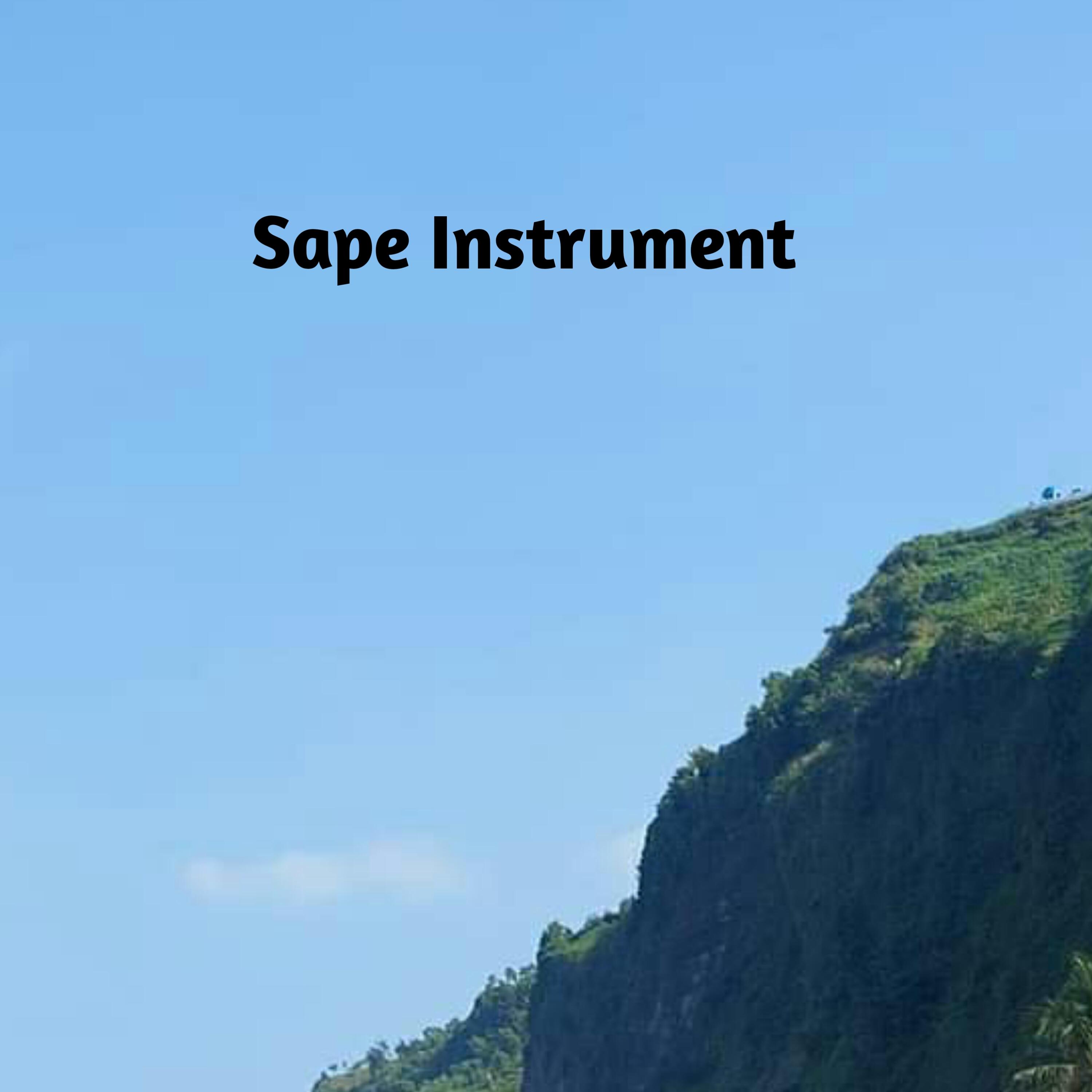 Постер альбома Sape Instrument