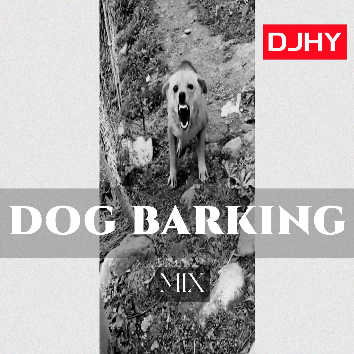 Постер альбома dog barking