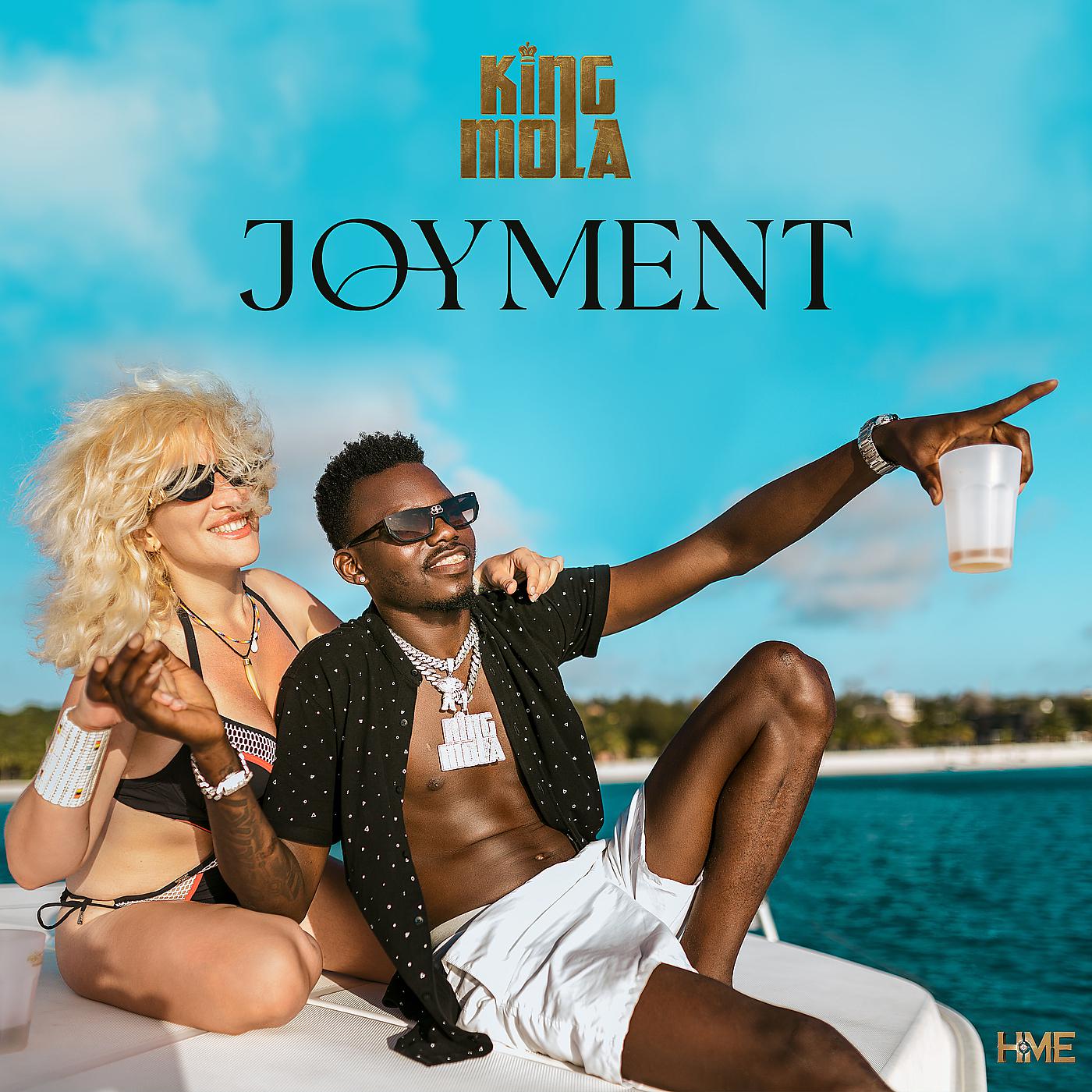 Постер альбома Joyment