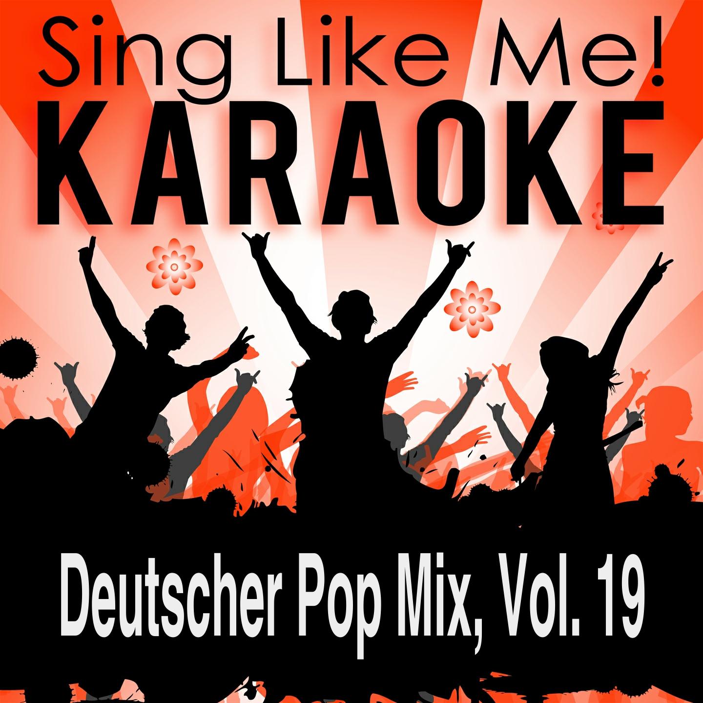 Постер альбома Deutscher Pop Mix, Vol. 19 (Karaoke Version)