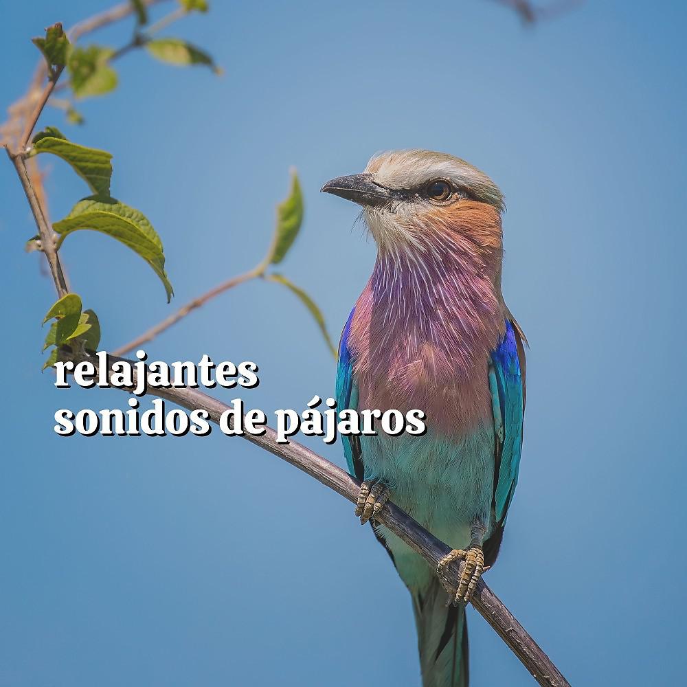 Постер альбома Relajantes Sonidos de Pájaros