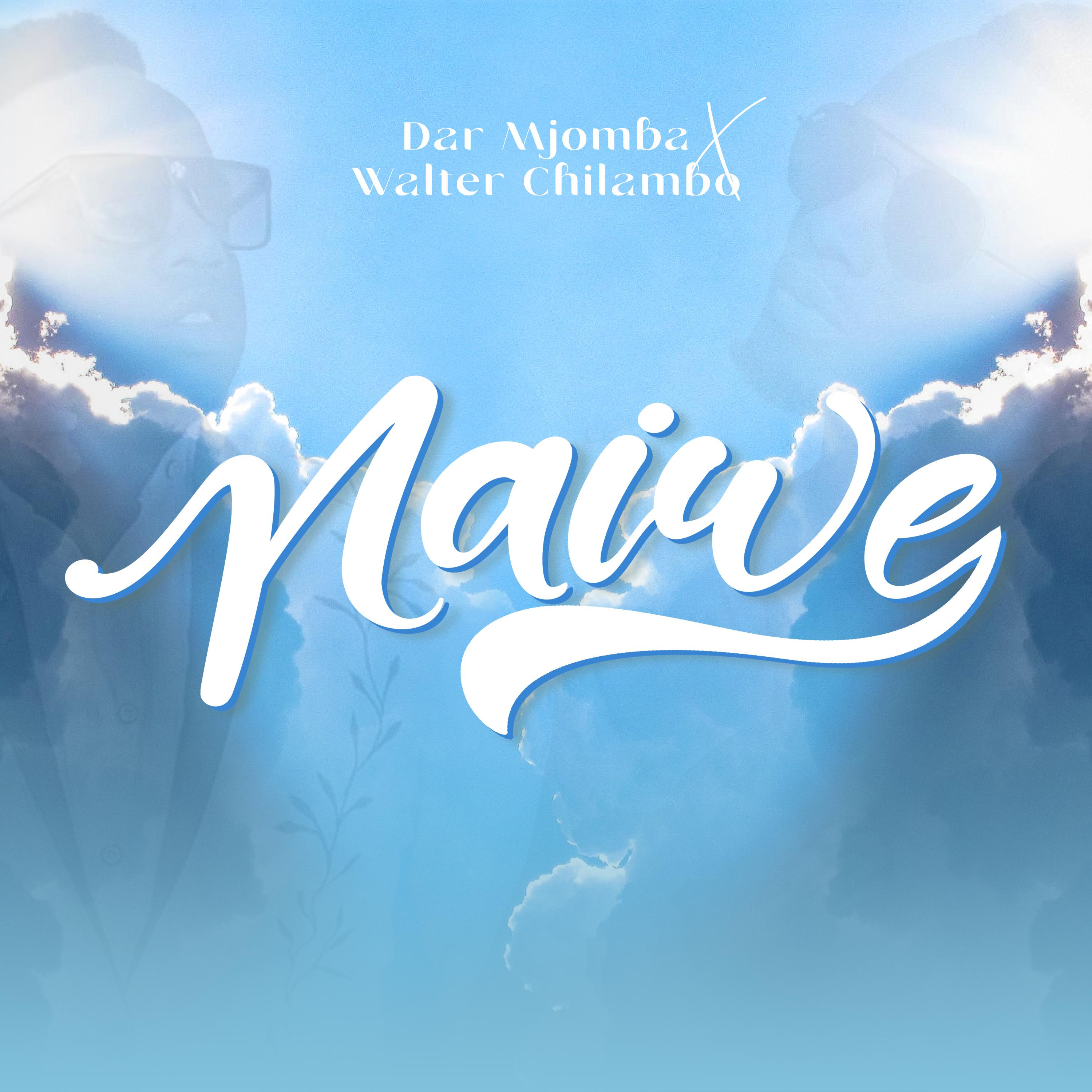 Постер альбома Naiwe