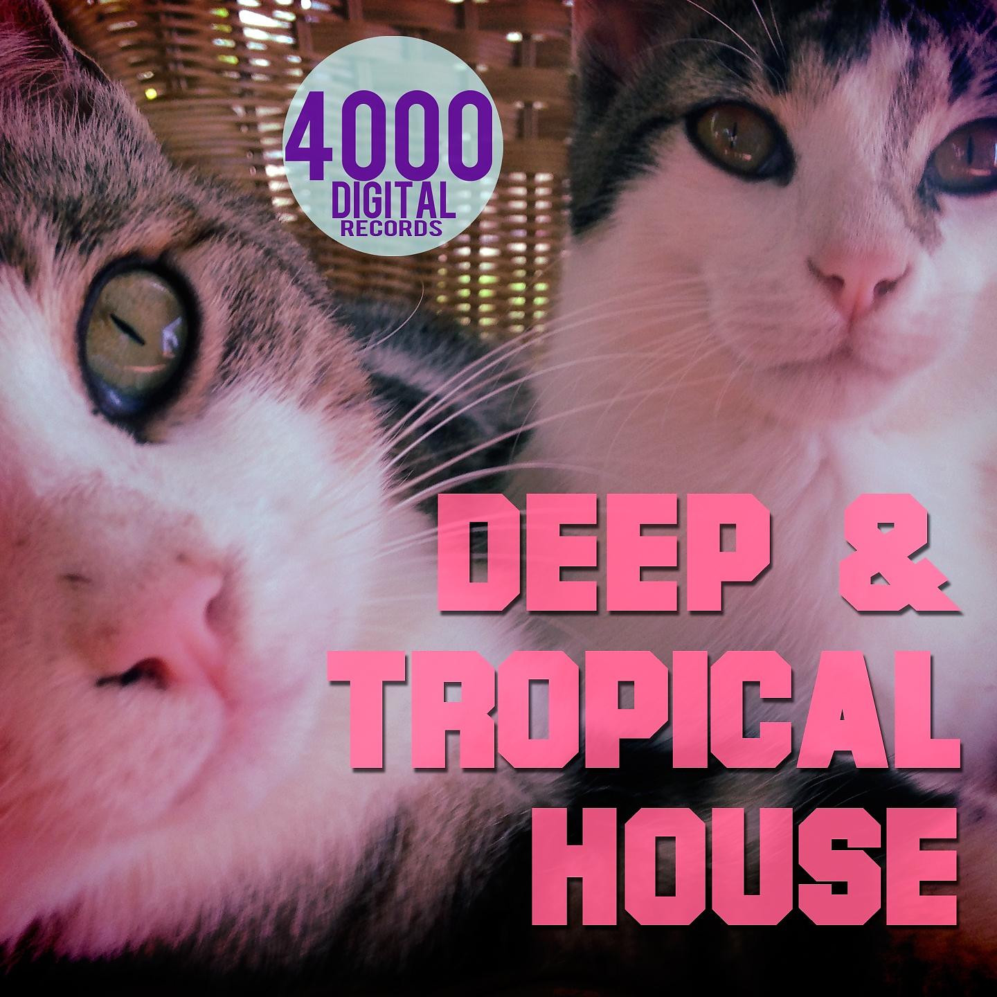 Постер альбома Deep & Tropical House