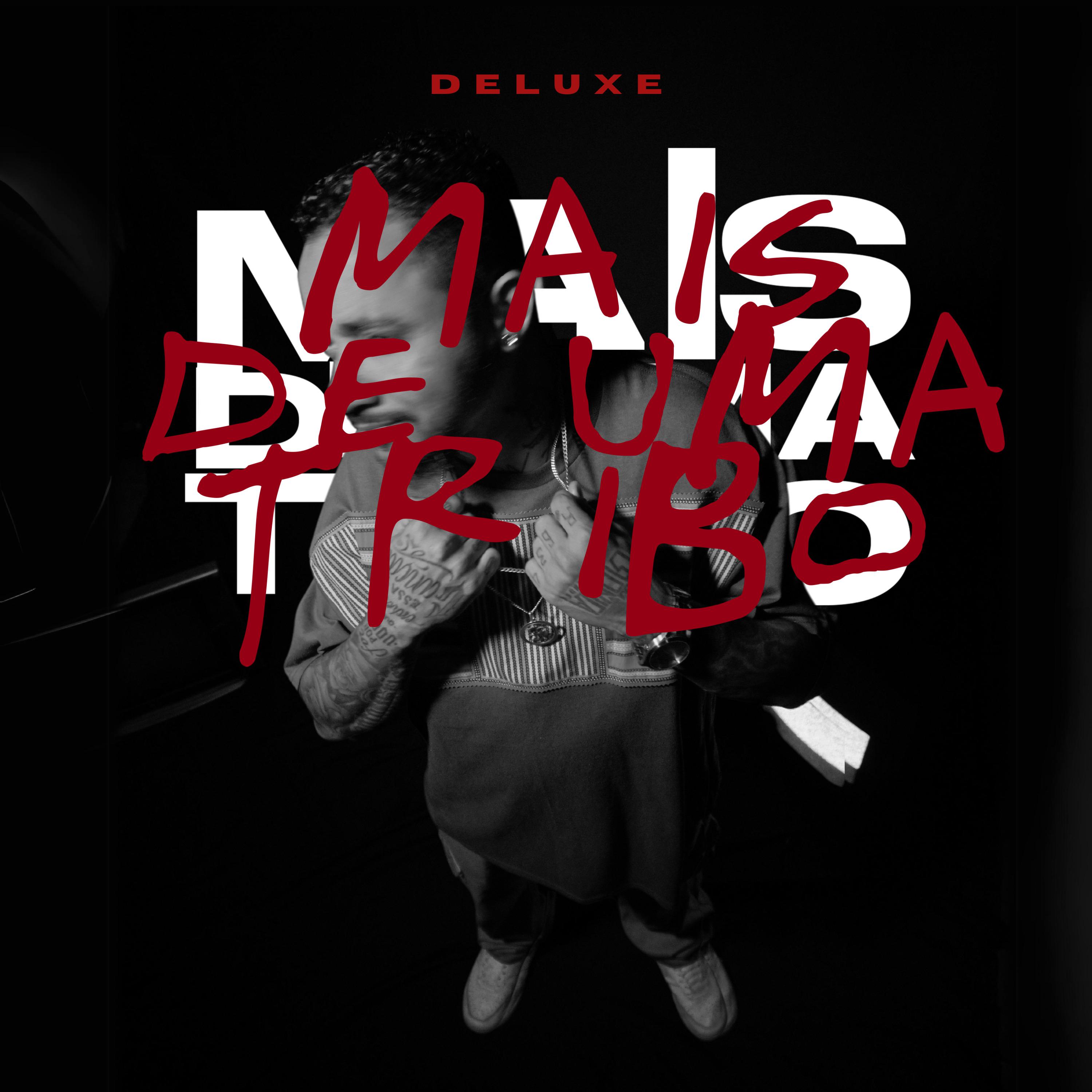 Постер альбома Mais de uma Tribo (Deluxe)