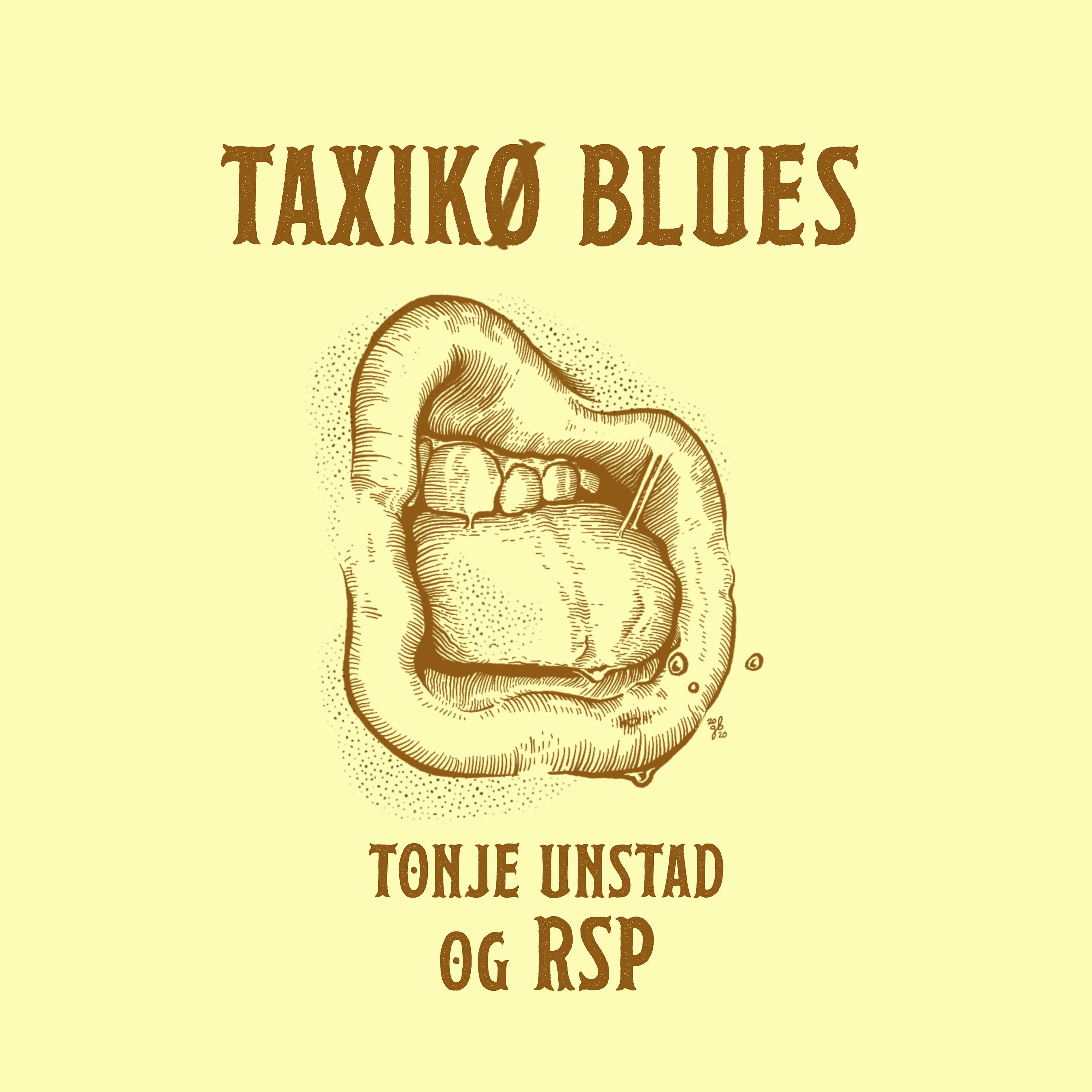Постер альбома Taxikø Blues
