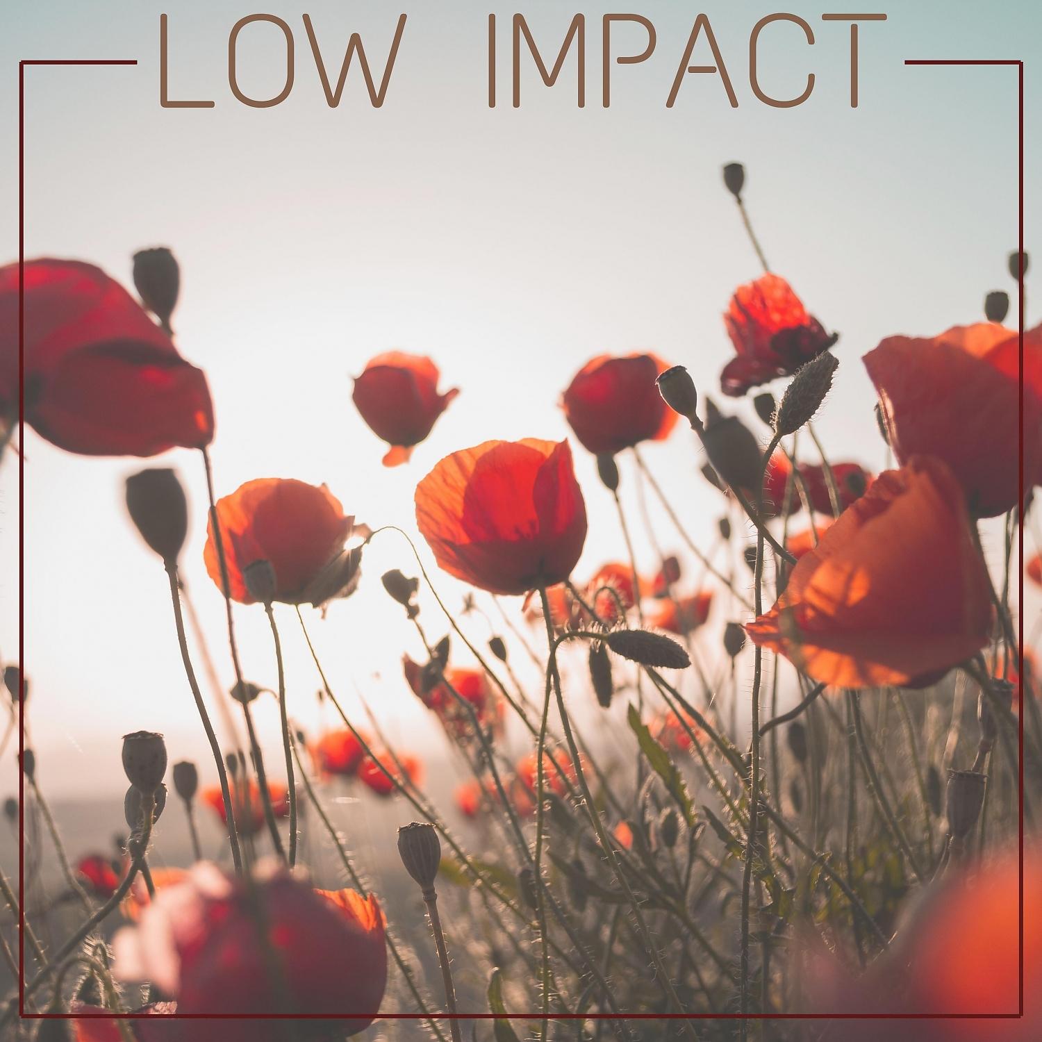 Постер альбома Low Impact