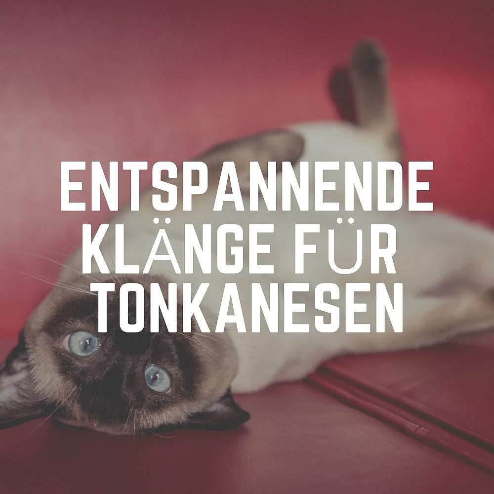 Постер альбома Entspannende Klänge für Tonkanesen