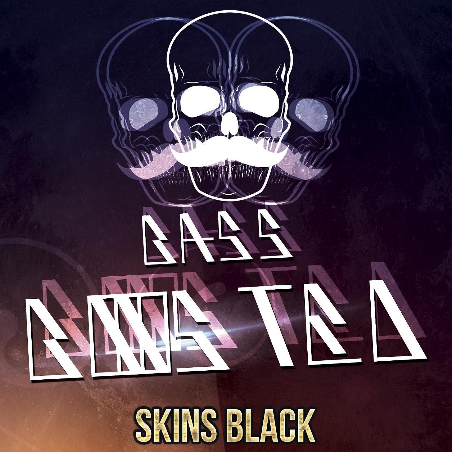 Постер альбома Skins Black