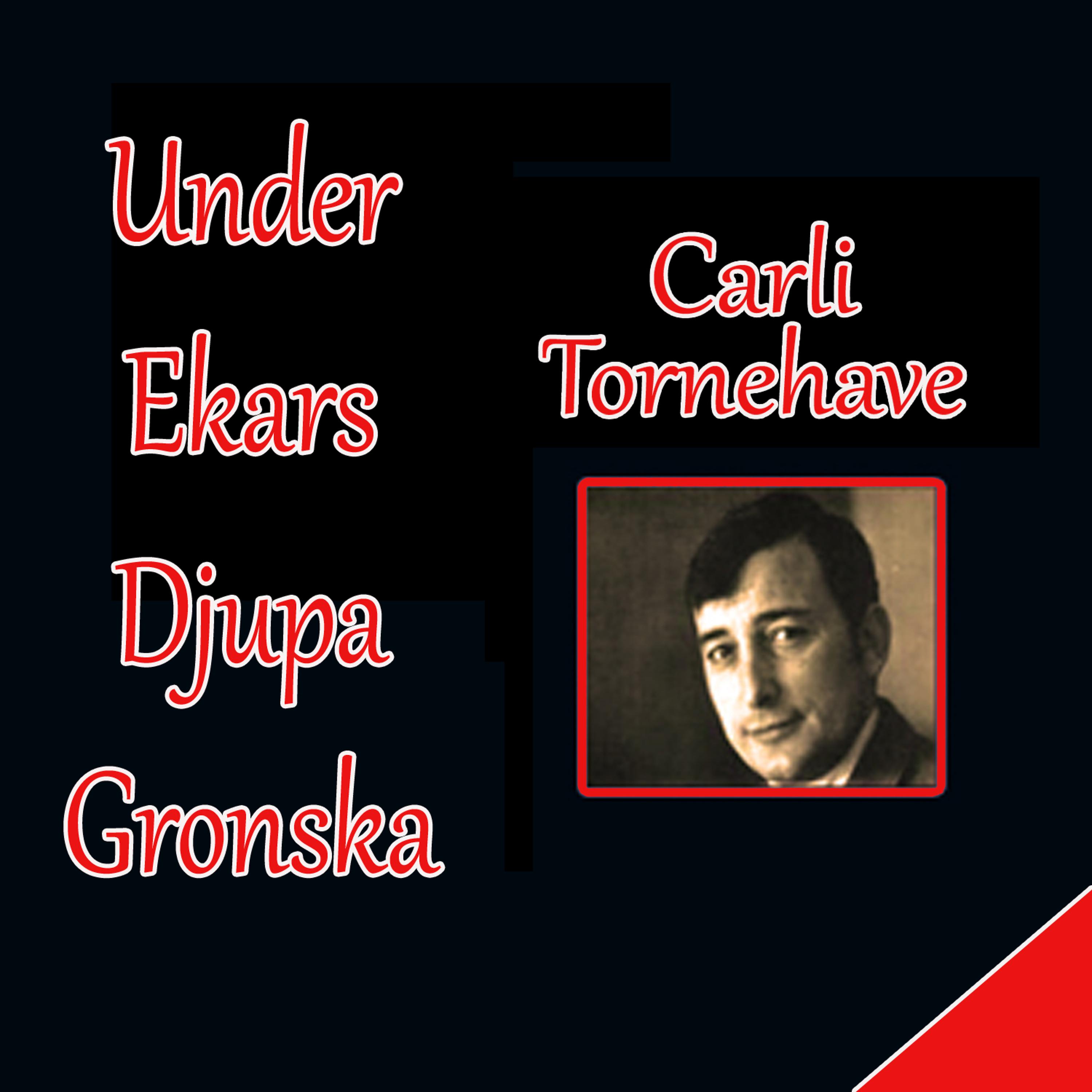 Постер альбома Under Ekars Djupa Gronska