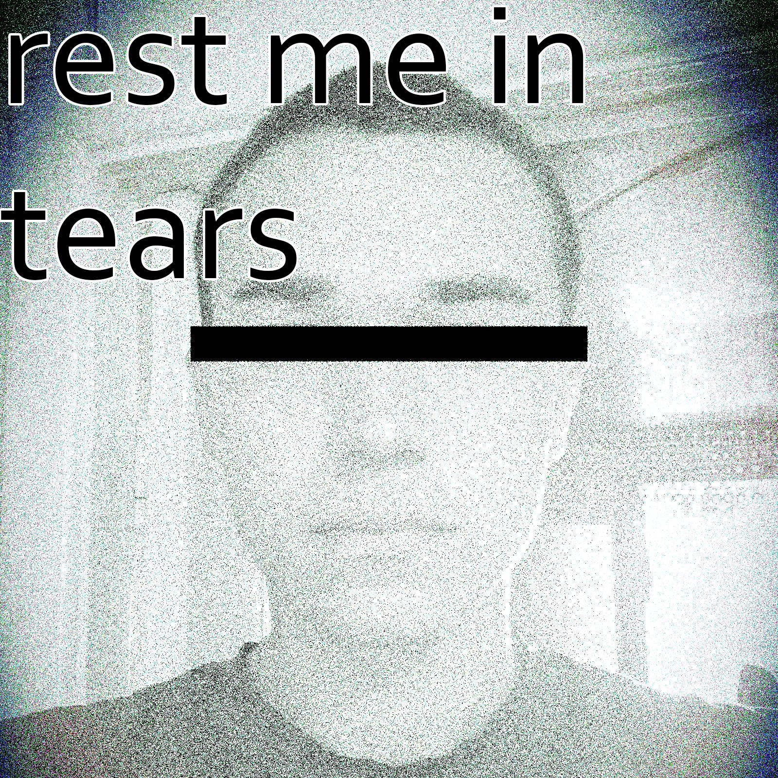 Постер альбома Rest Me in Tears