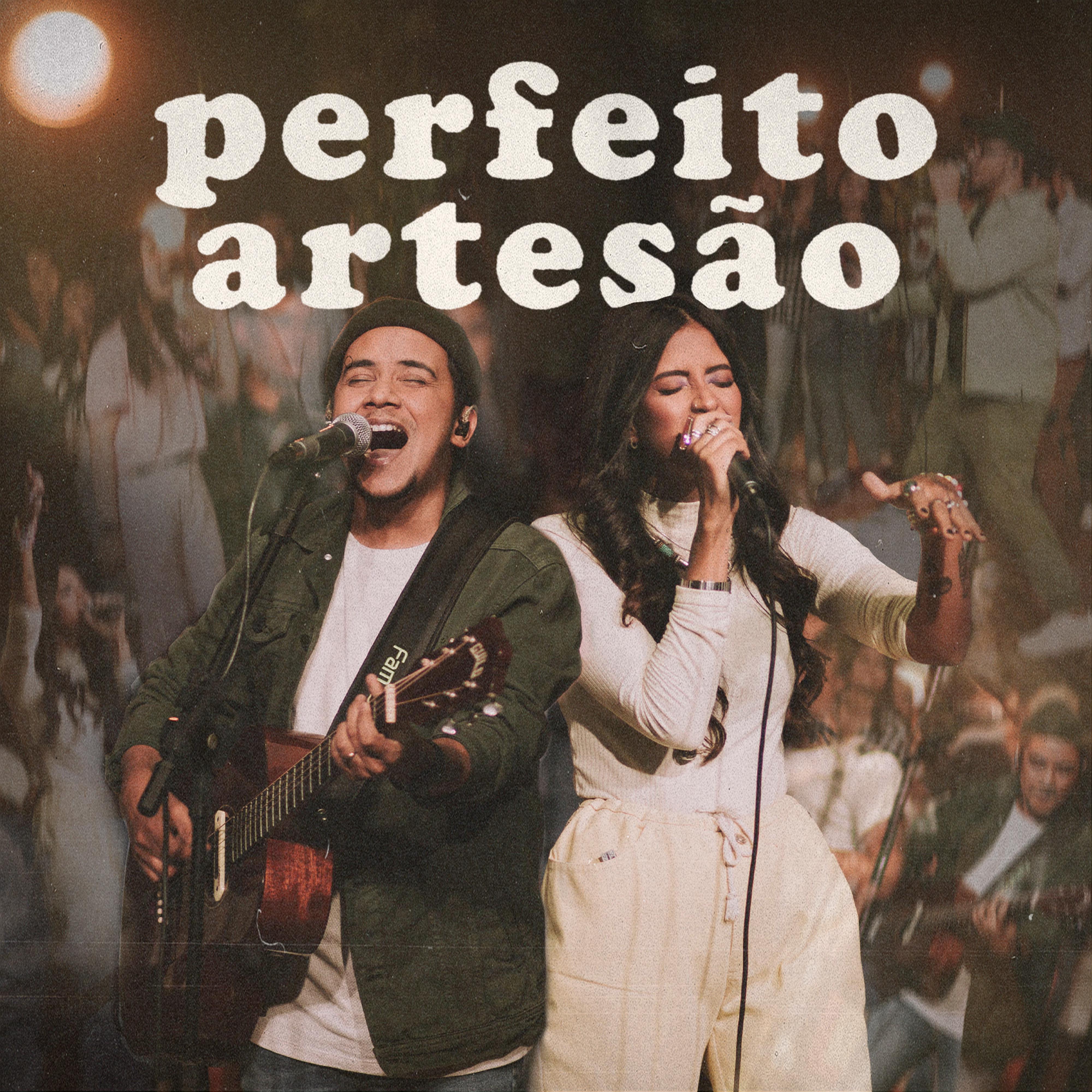 Постер альбома Perfeito Artesão