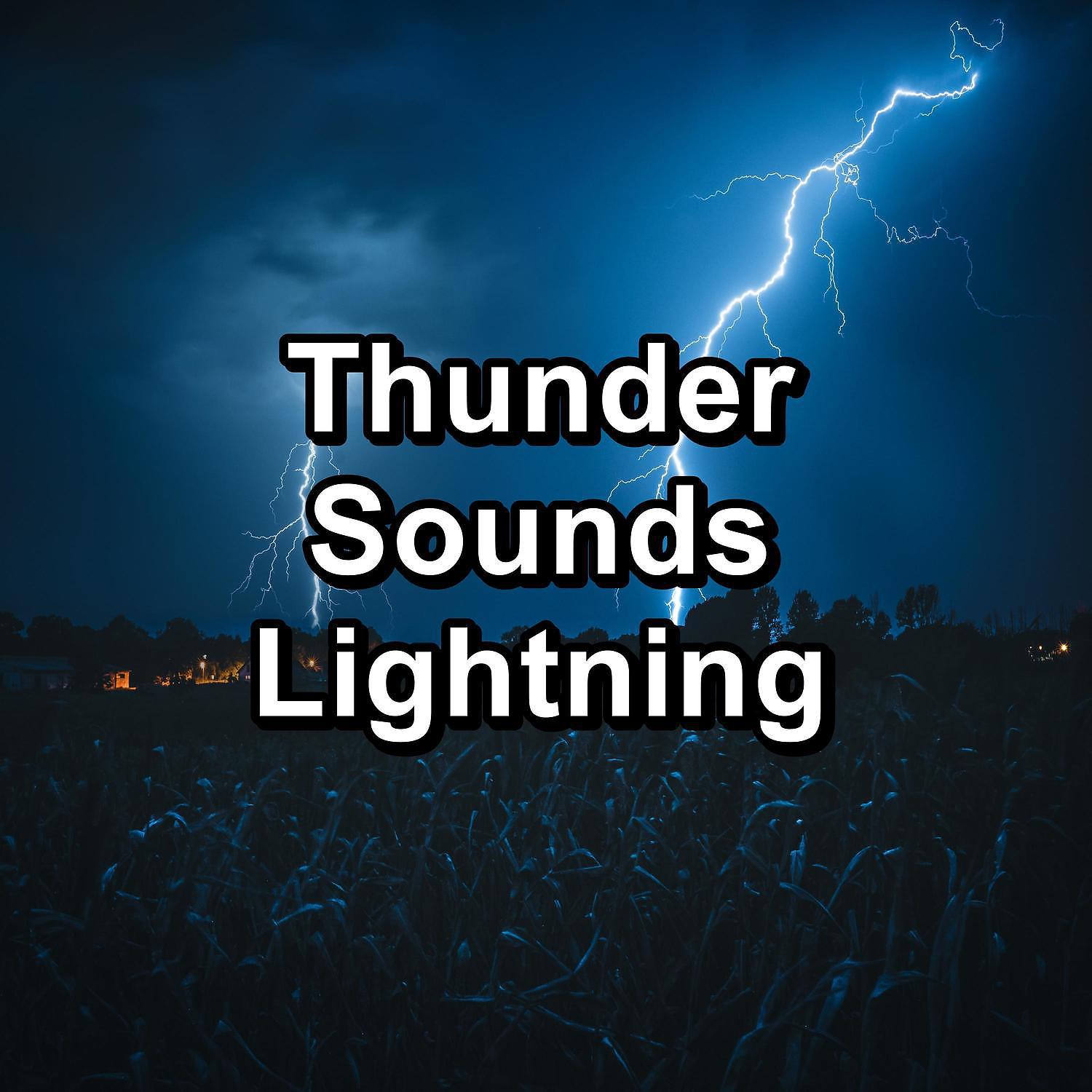 Постер альбома Thunder Sounds Lightning