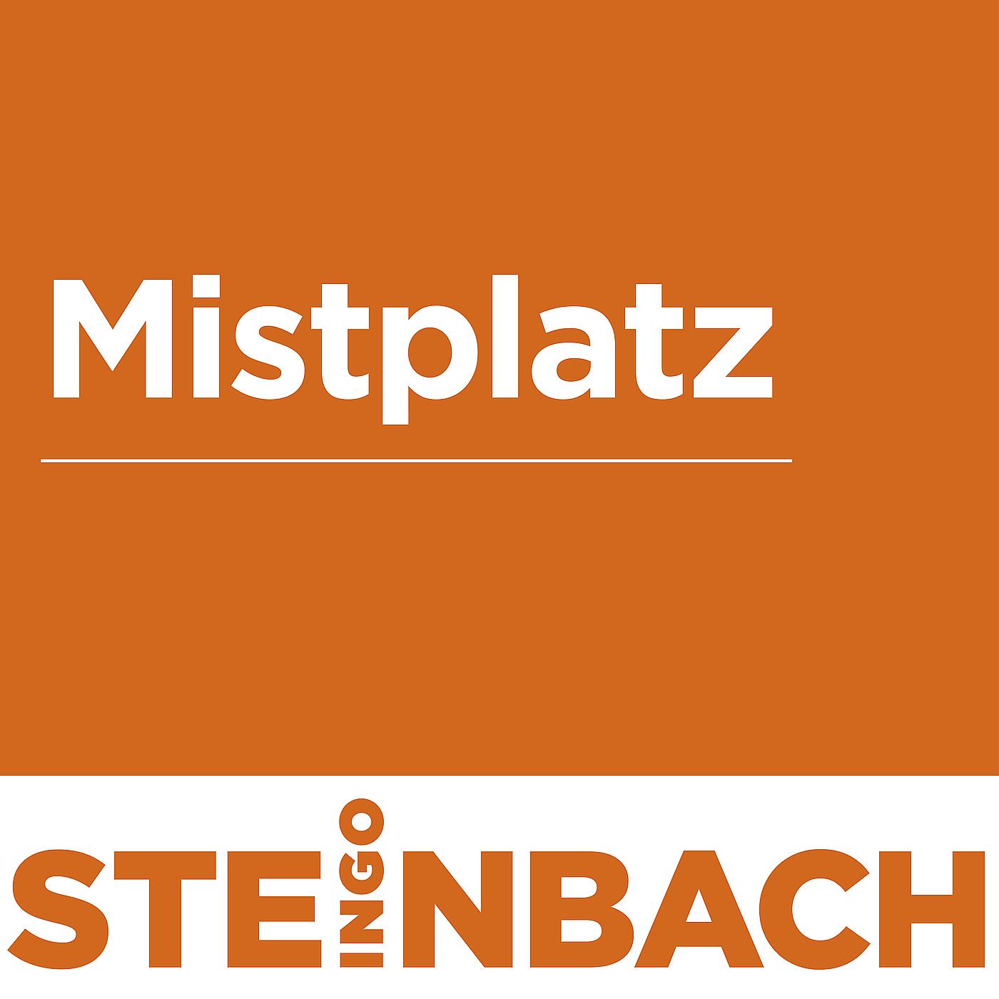 Постер альбома Mistplatz