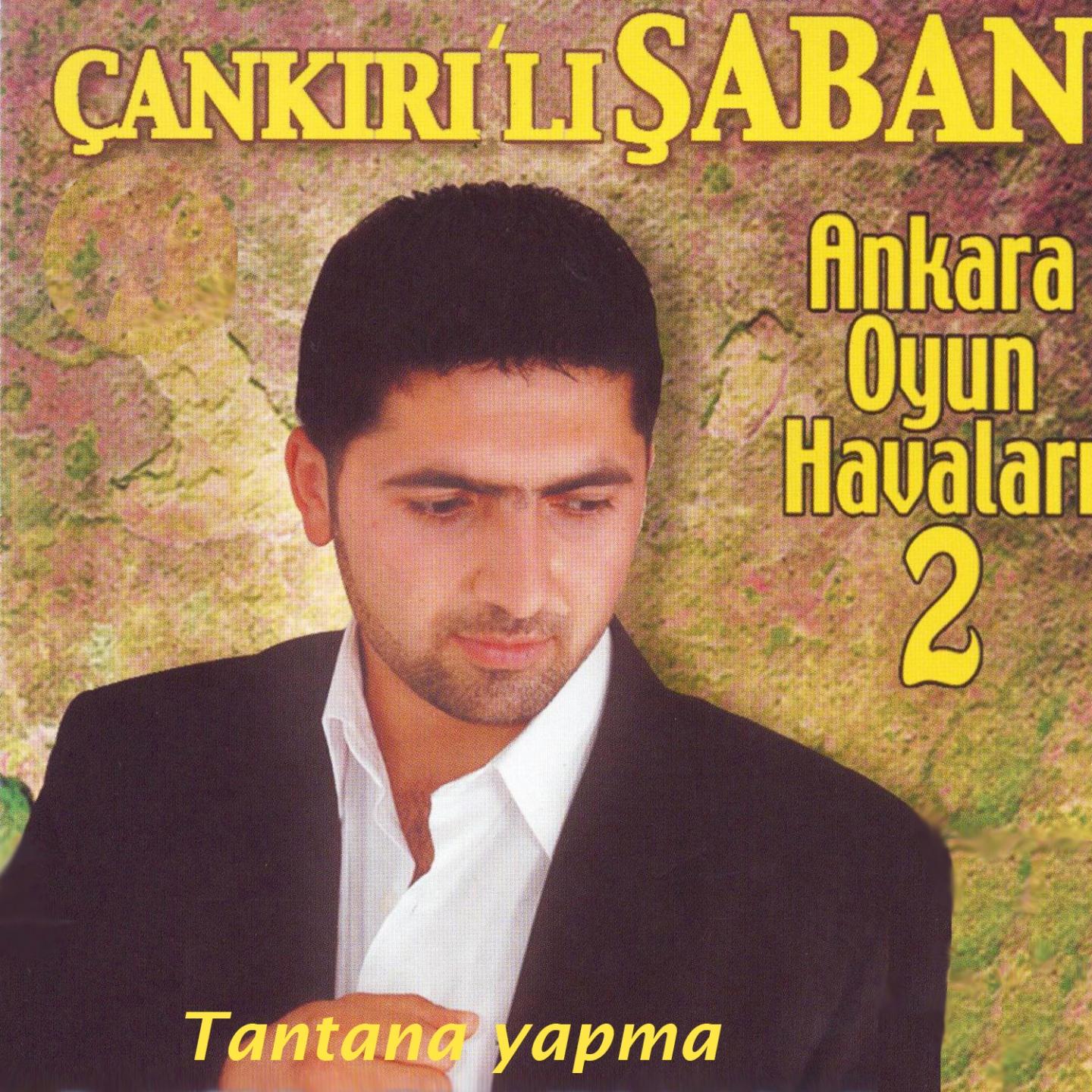 Постер альбома Ankara Oyun Havaları, Vol. 2