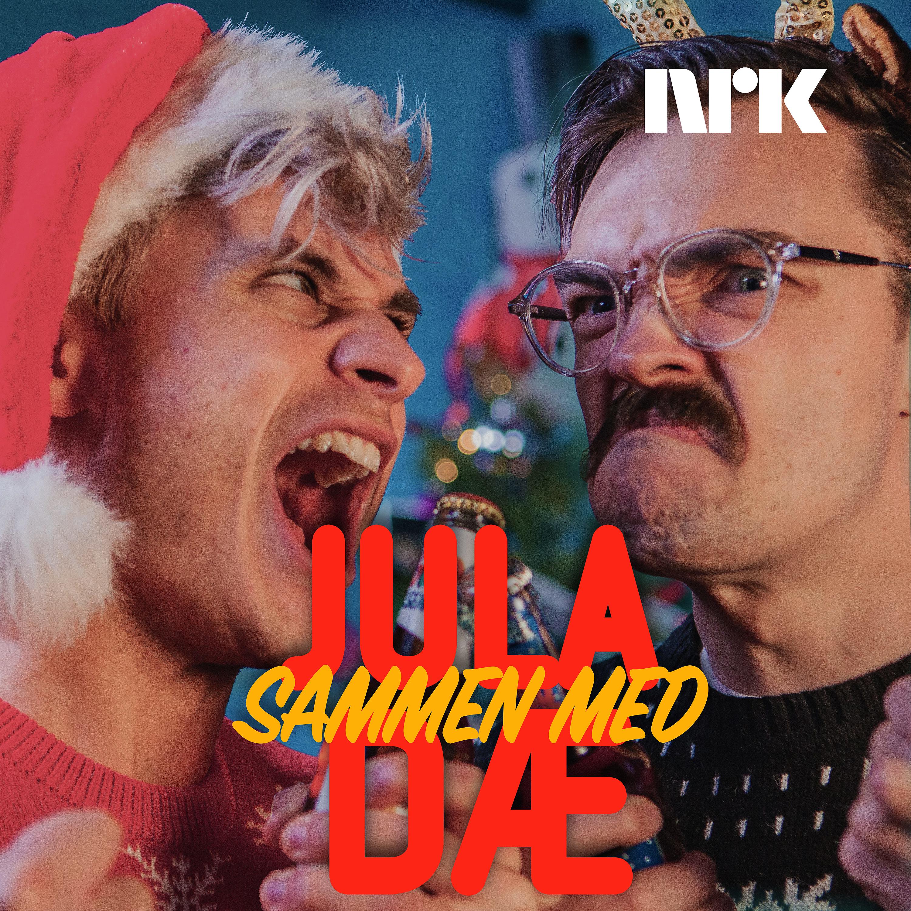 Постер альбома Jula sammen med dæ