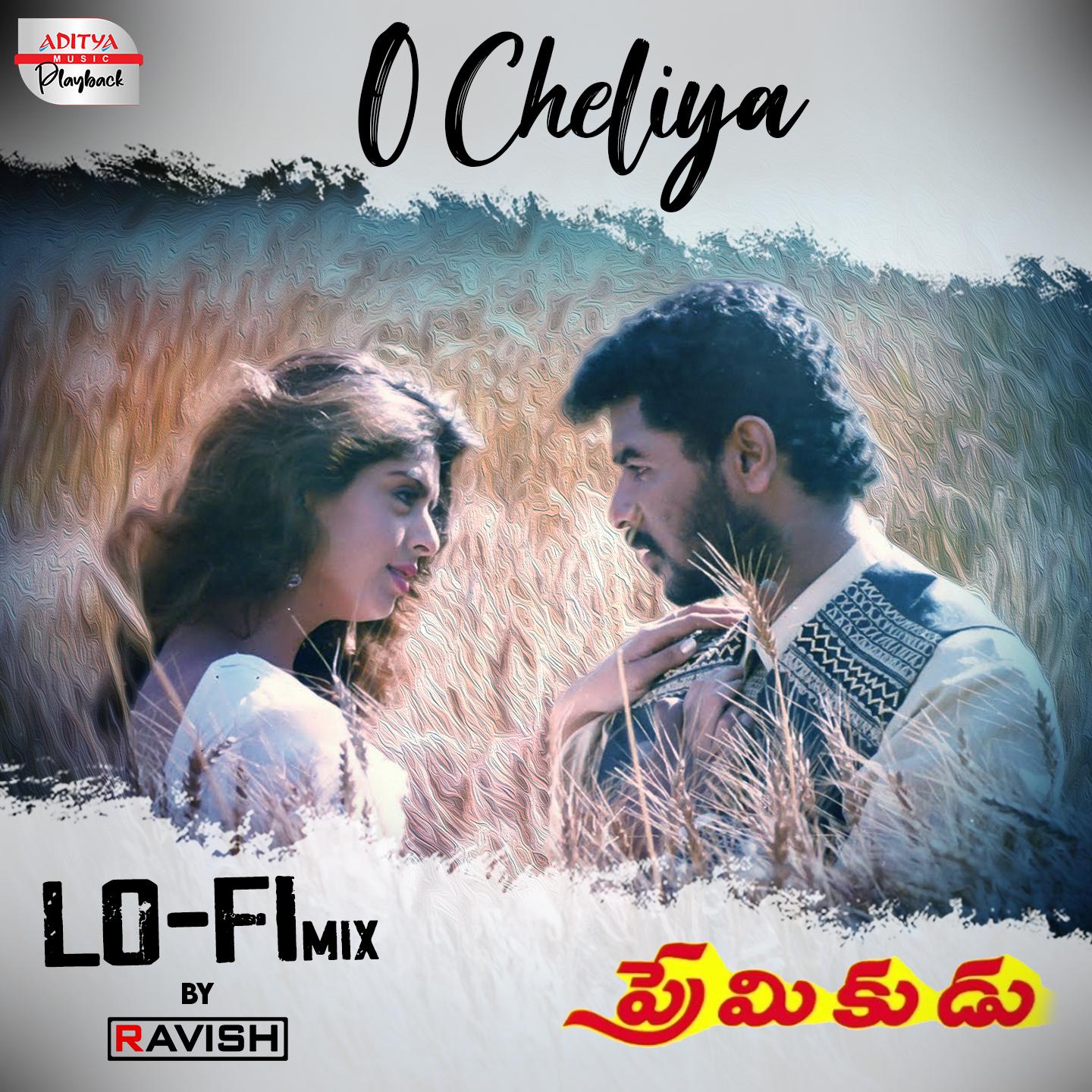 Постер альбома O Cheliya Lofi Mix