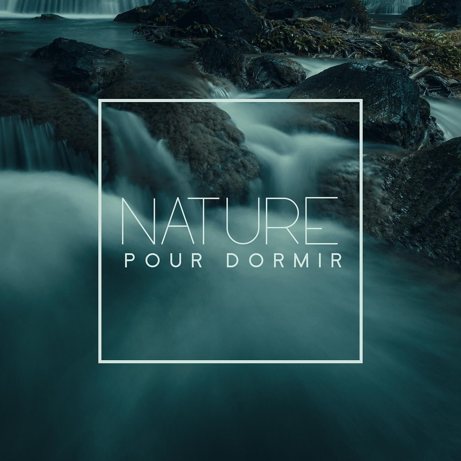 Постер альбома Nature pour dormir: Sons de la nature, Nature de nuit, Détente profonde, Sommeil rapide