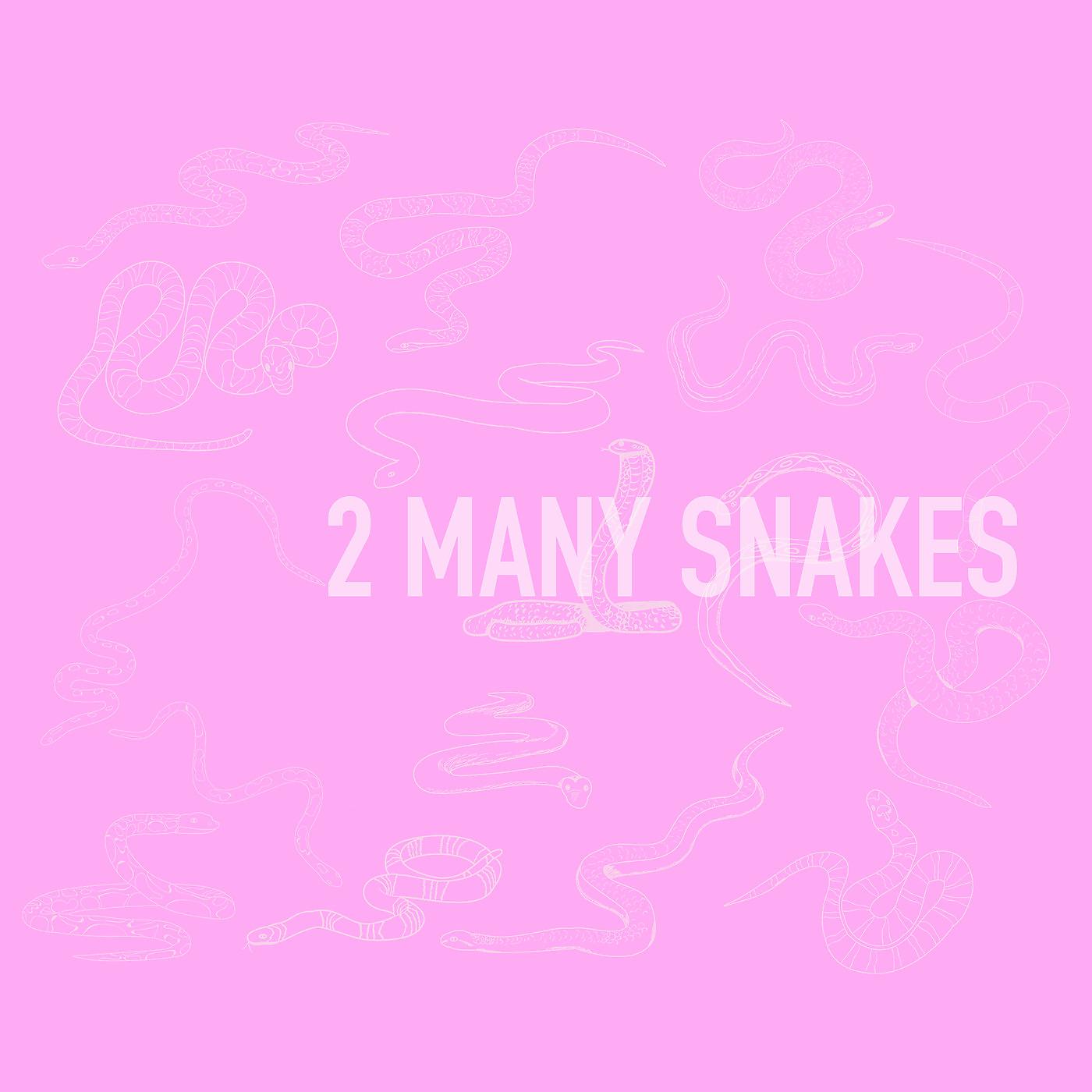 Постер альбома 2 Many Snakes
