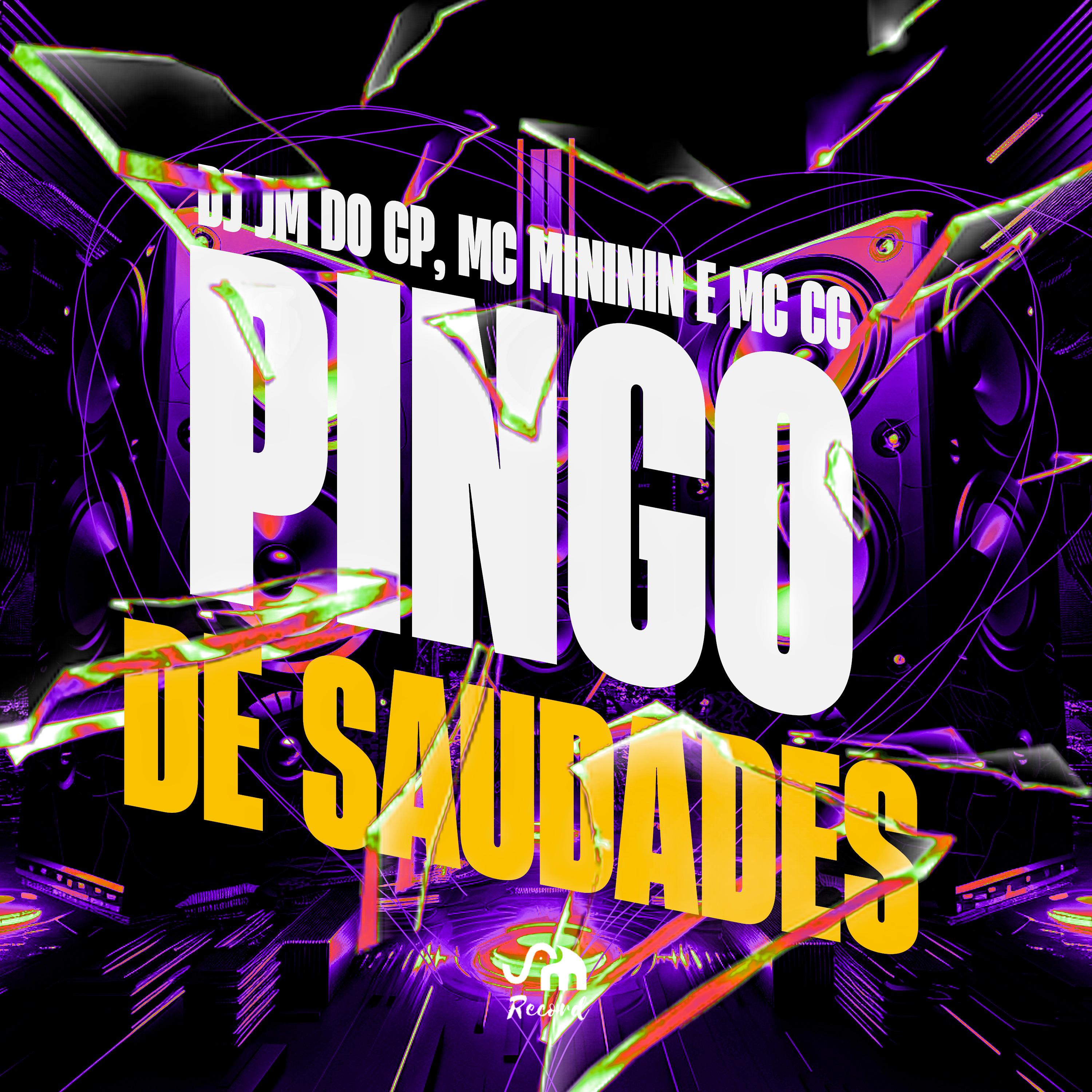 Постер альбома Pingo de Saudades