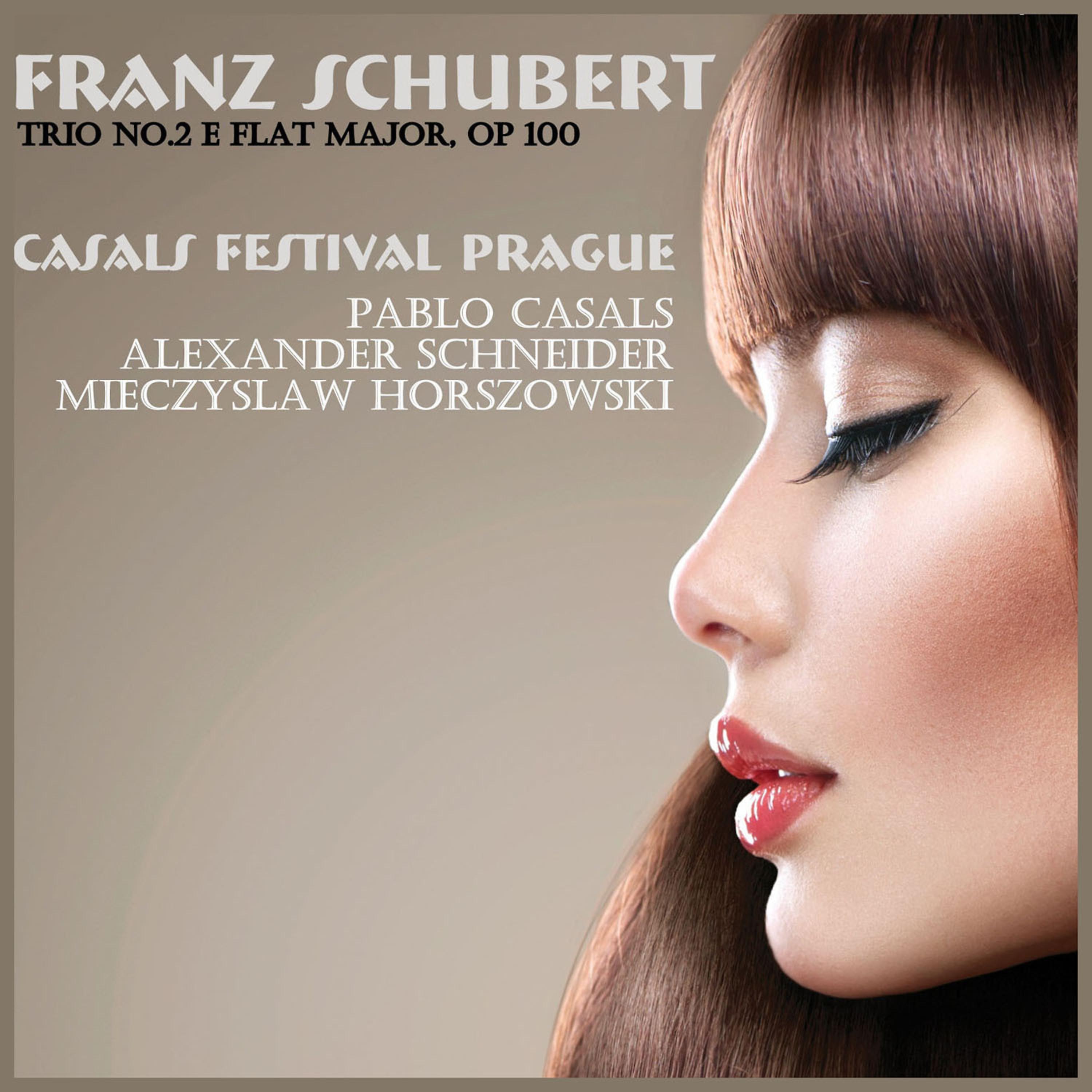 Постер альбома Schubert: Trio No. 2 E-Flat Major, Op. 100