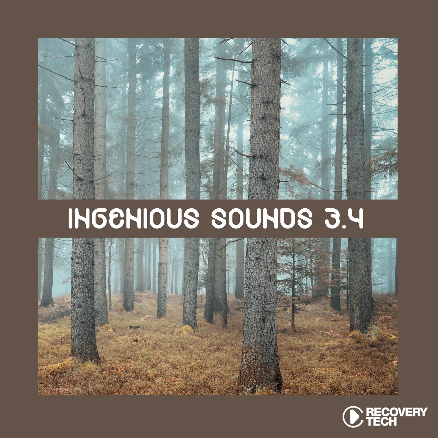 Постер альбома Ingenious Sounds, Vol. 3.4