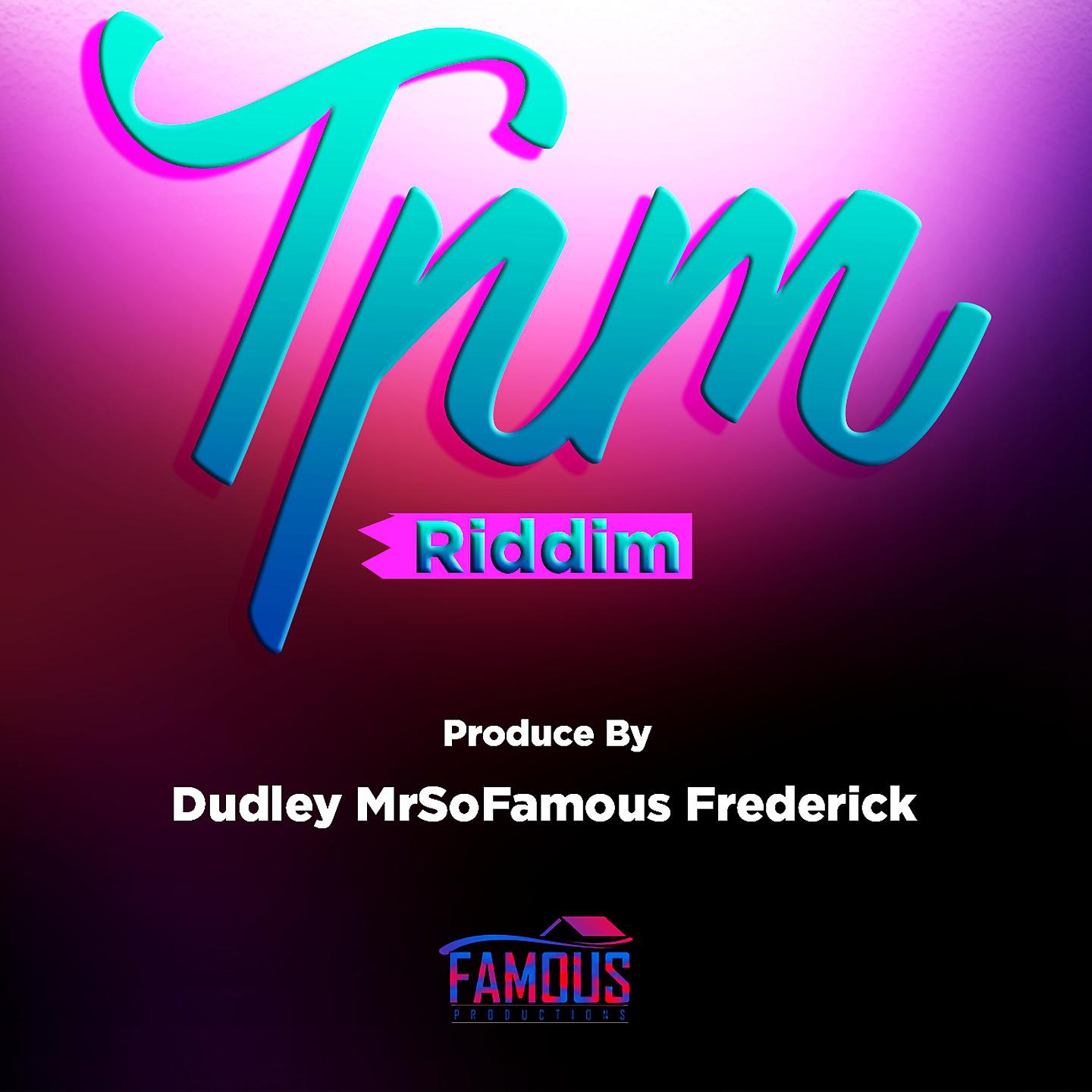 Постер альбома T.P.M Riddim