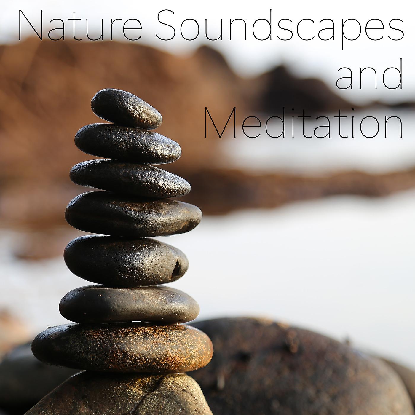 Постер альбома Nature Soundscapes and Meditation