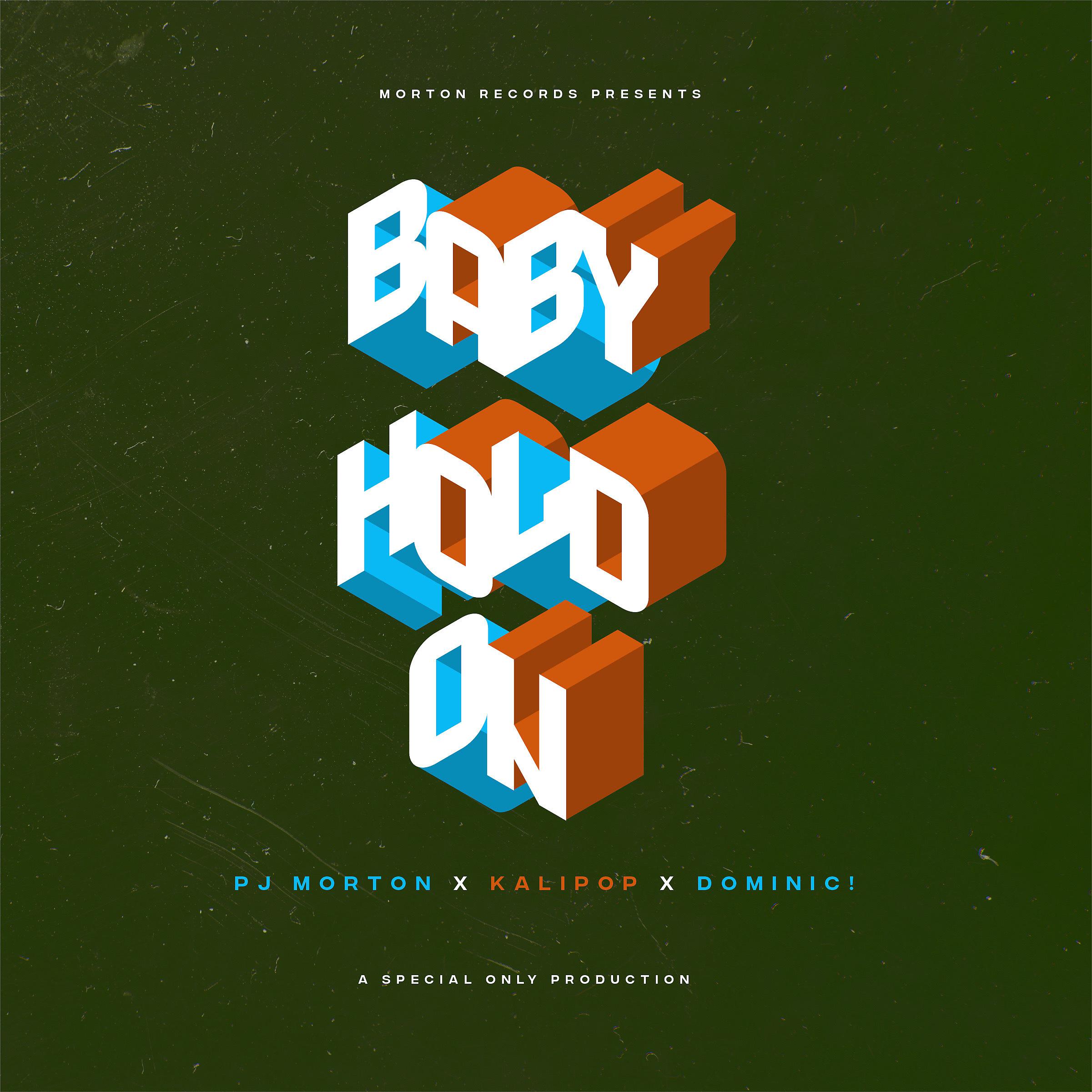 Постер альбома Baby Hold On (feat. PJ Morton, Kalipop & DOMINIC!)