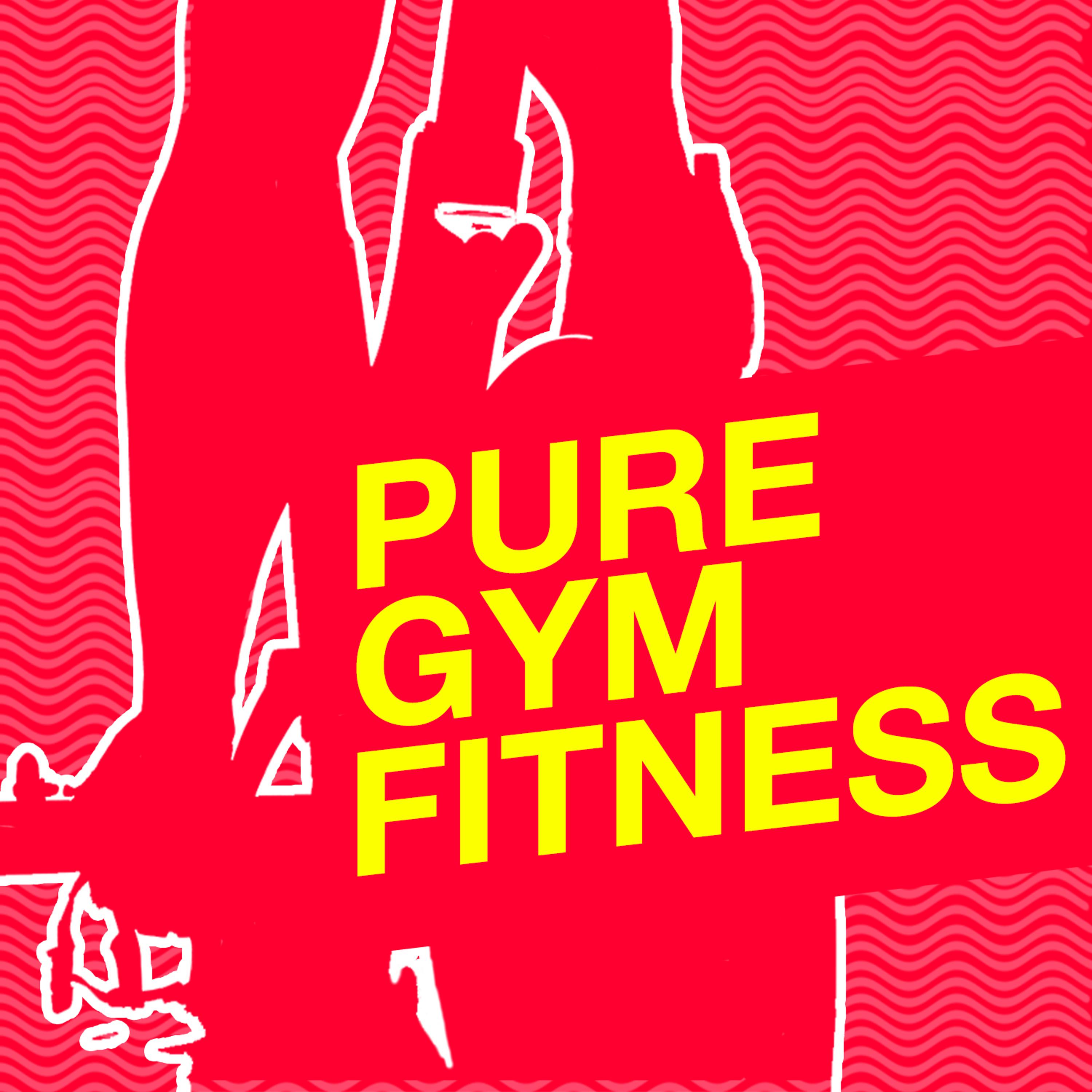 Постер альбома Pure Gym Fitness