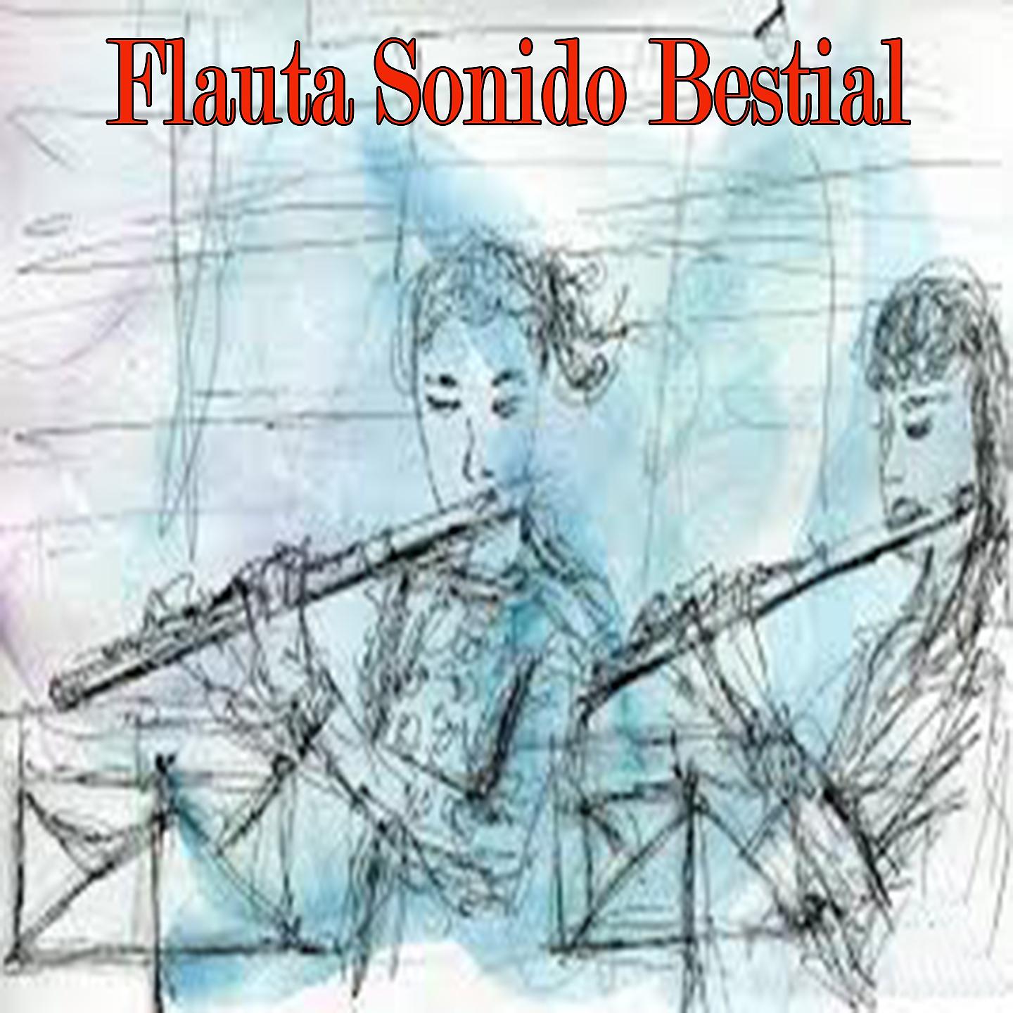 Постер альбома Flauta Sonido Bestial