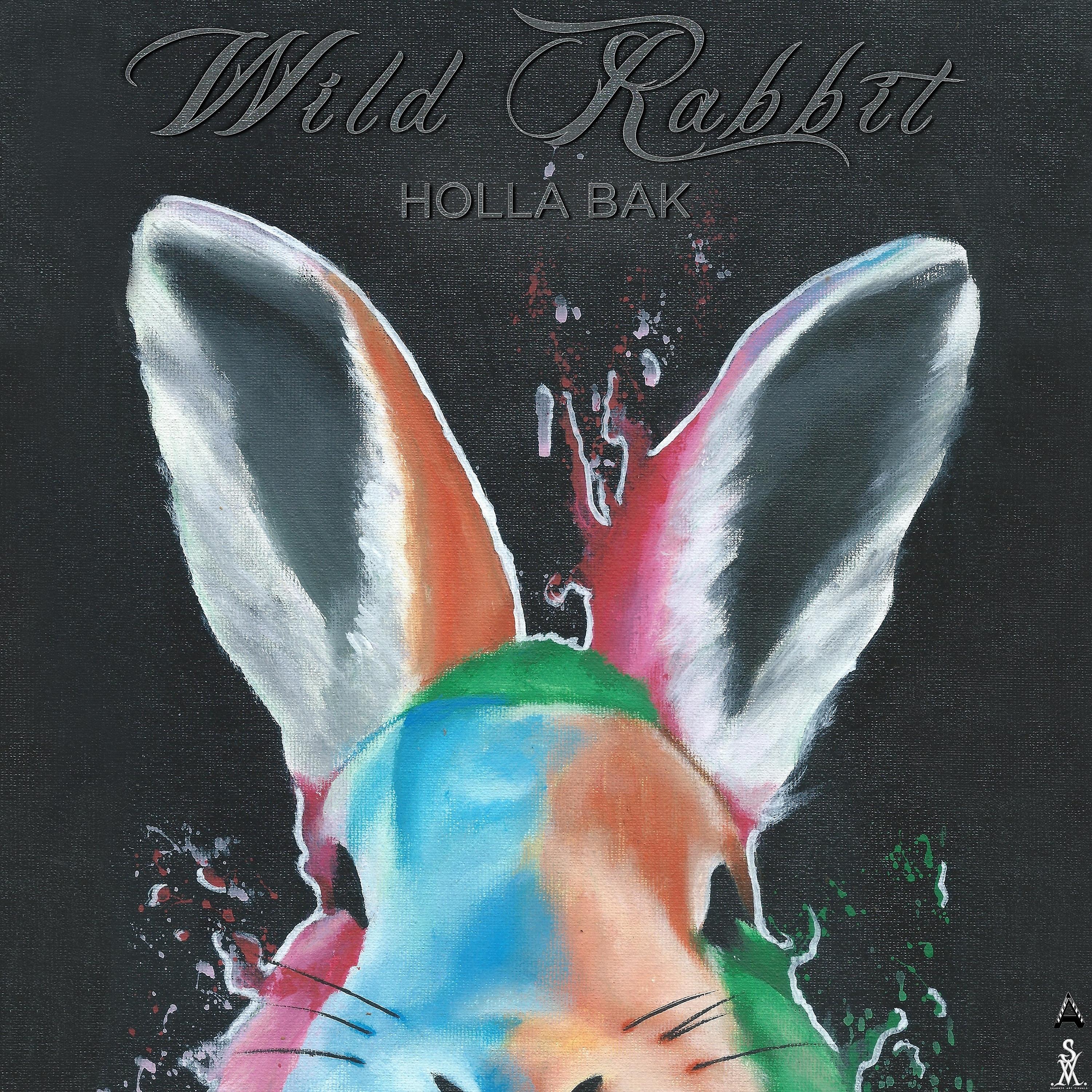 Постер альбома Wild Rabbit
