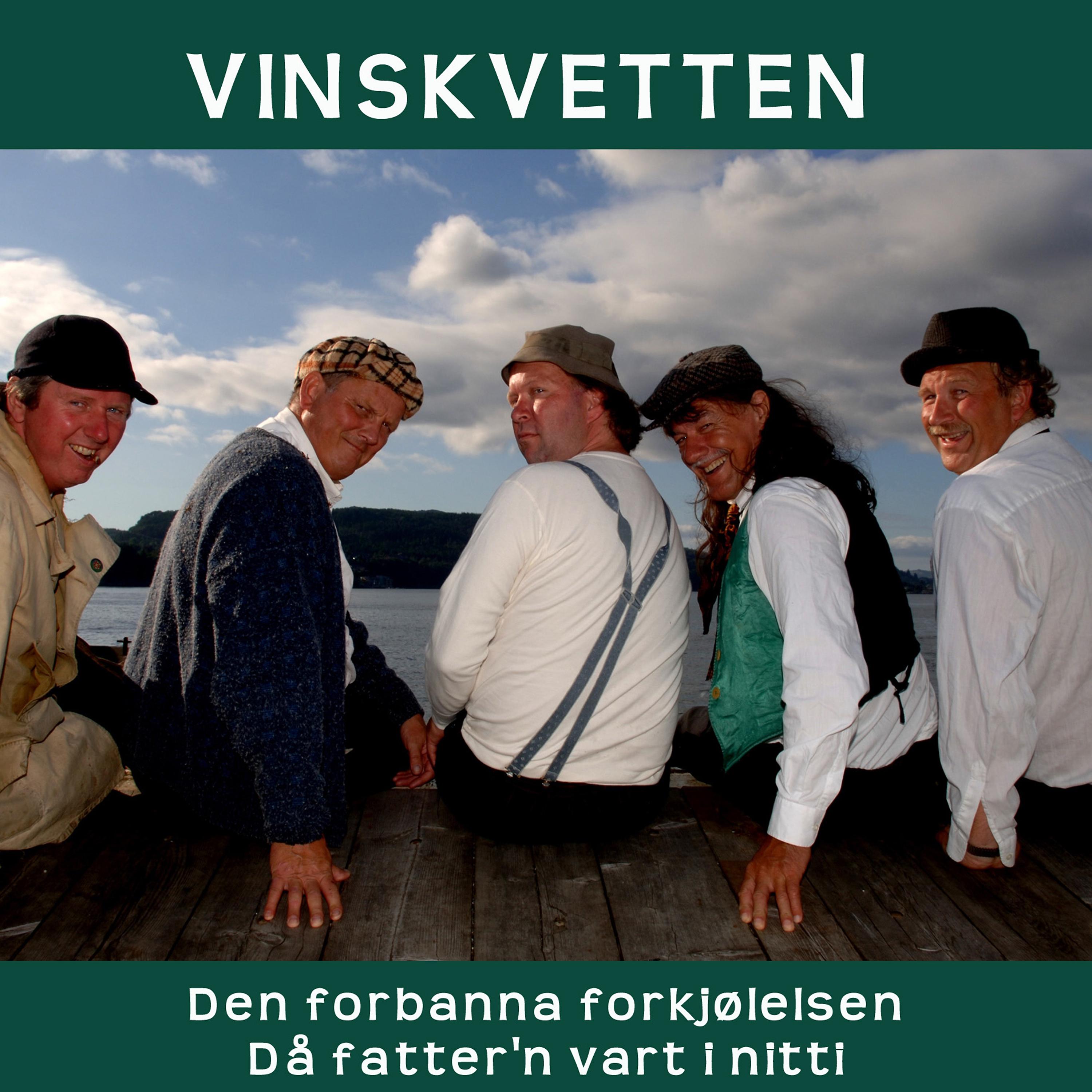 Постер альбома Den Forbanne Forkjølelsen