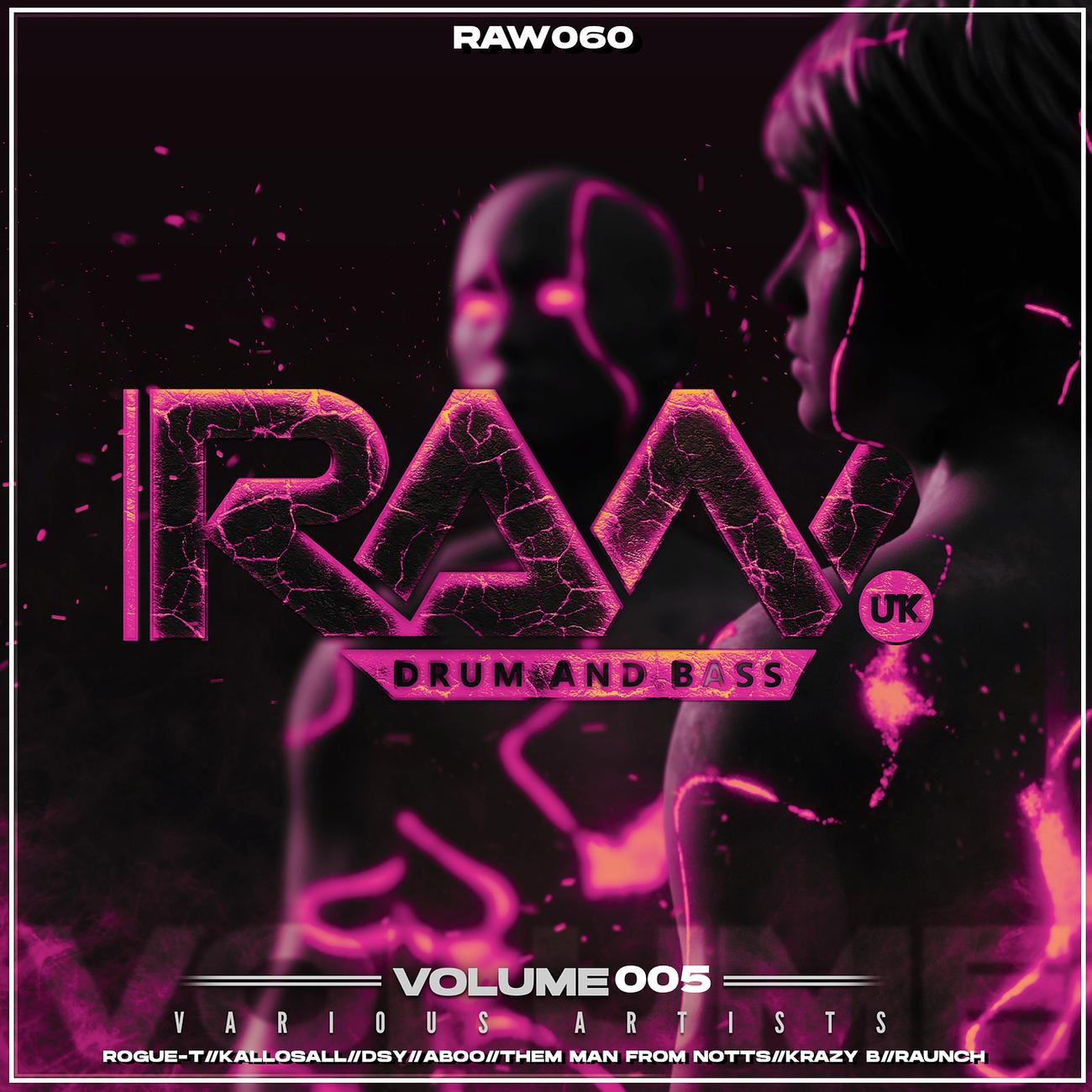 Постер альбома RAW Va Vol 5
