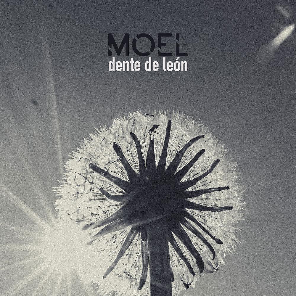 Постер альбома Dente de León